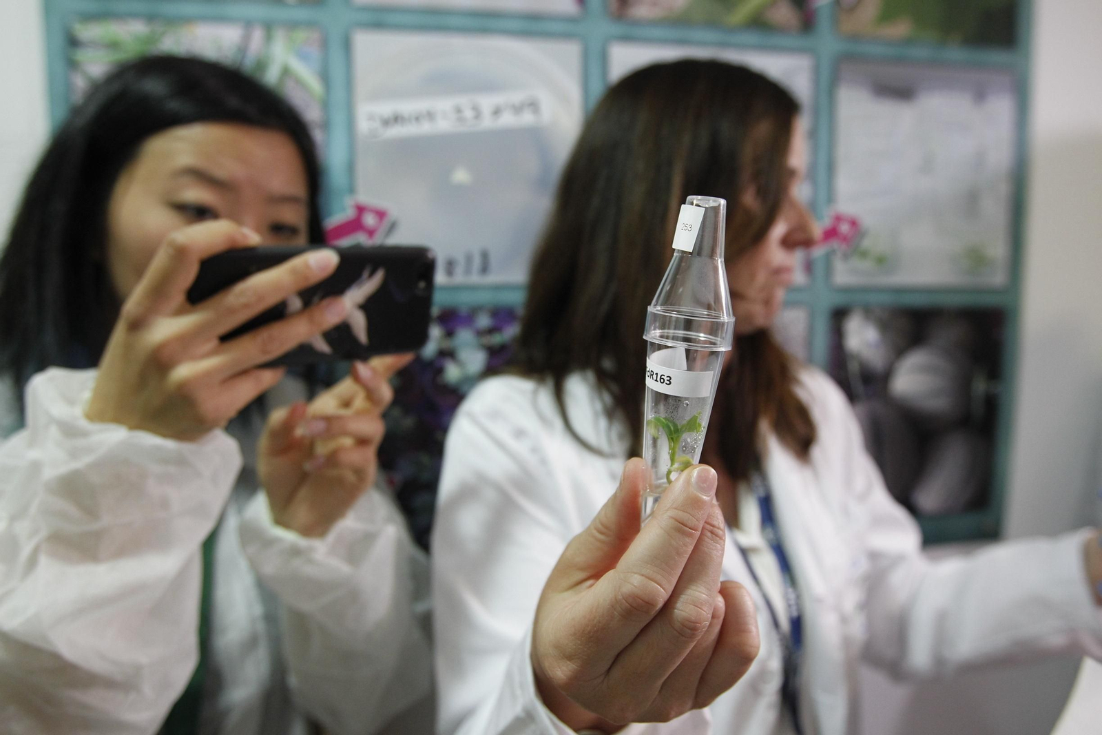 Fotogalería presentación resultados Bayer