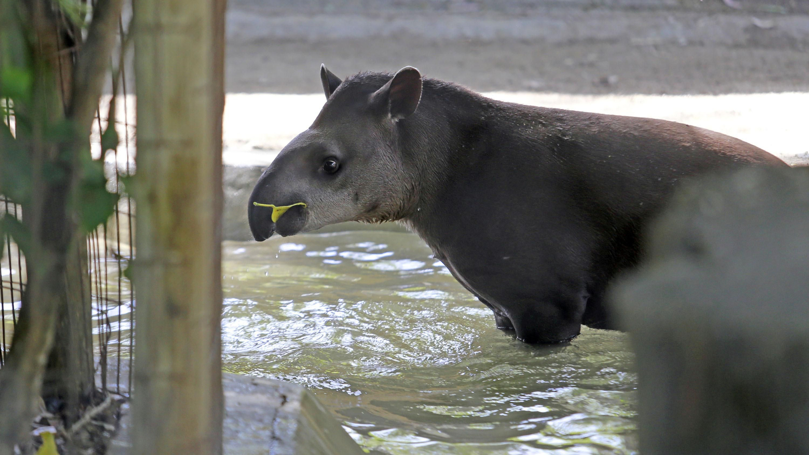 Reapertura del Zoo de Jerez