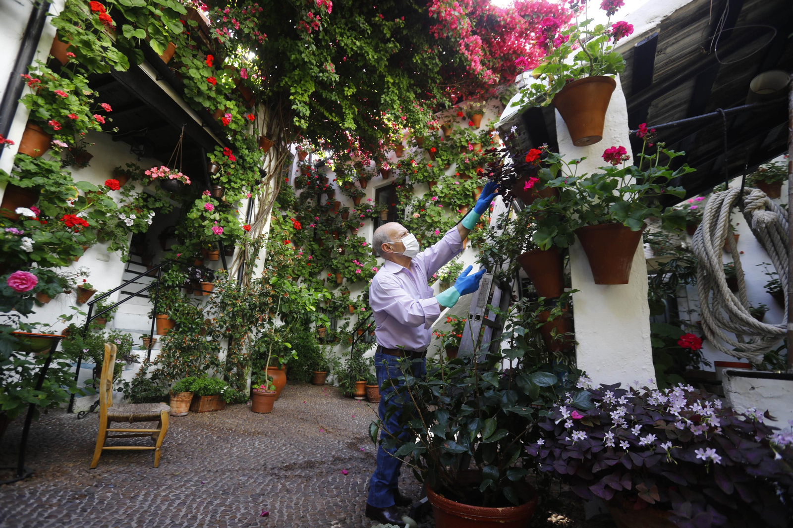 Dos años de covid en Córdoba: las imágenes más significativas de la pandemia