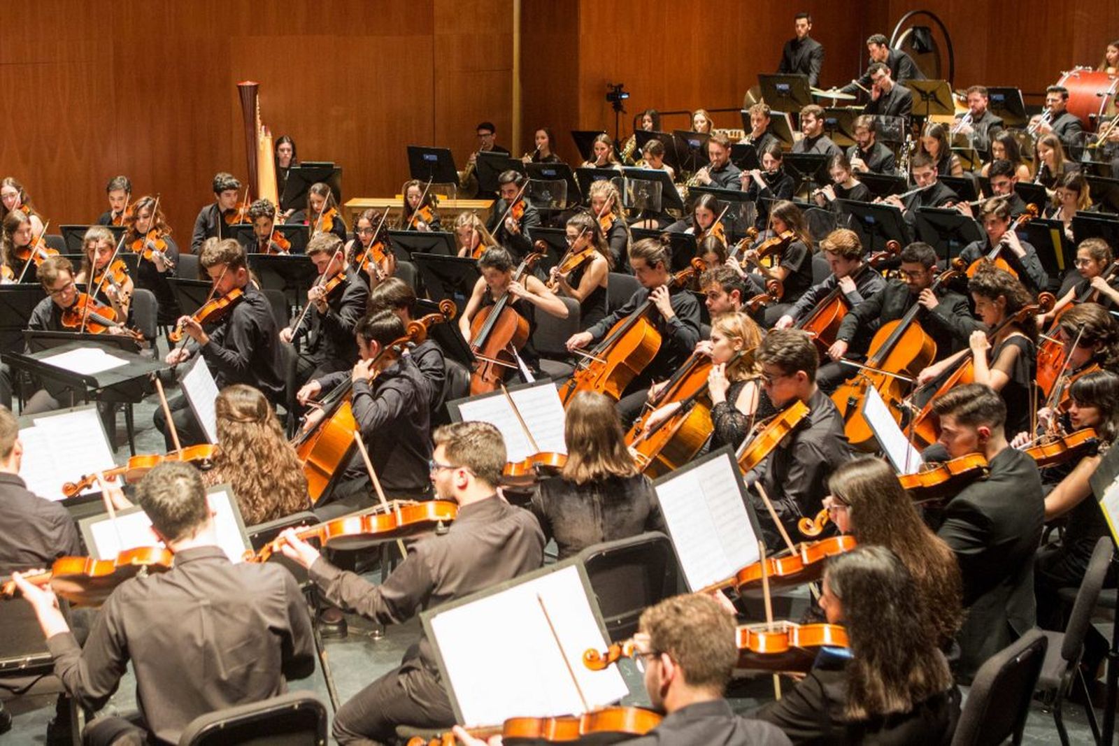 Orquesta de la Fundación Barenboim-Said
