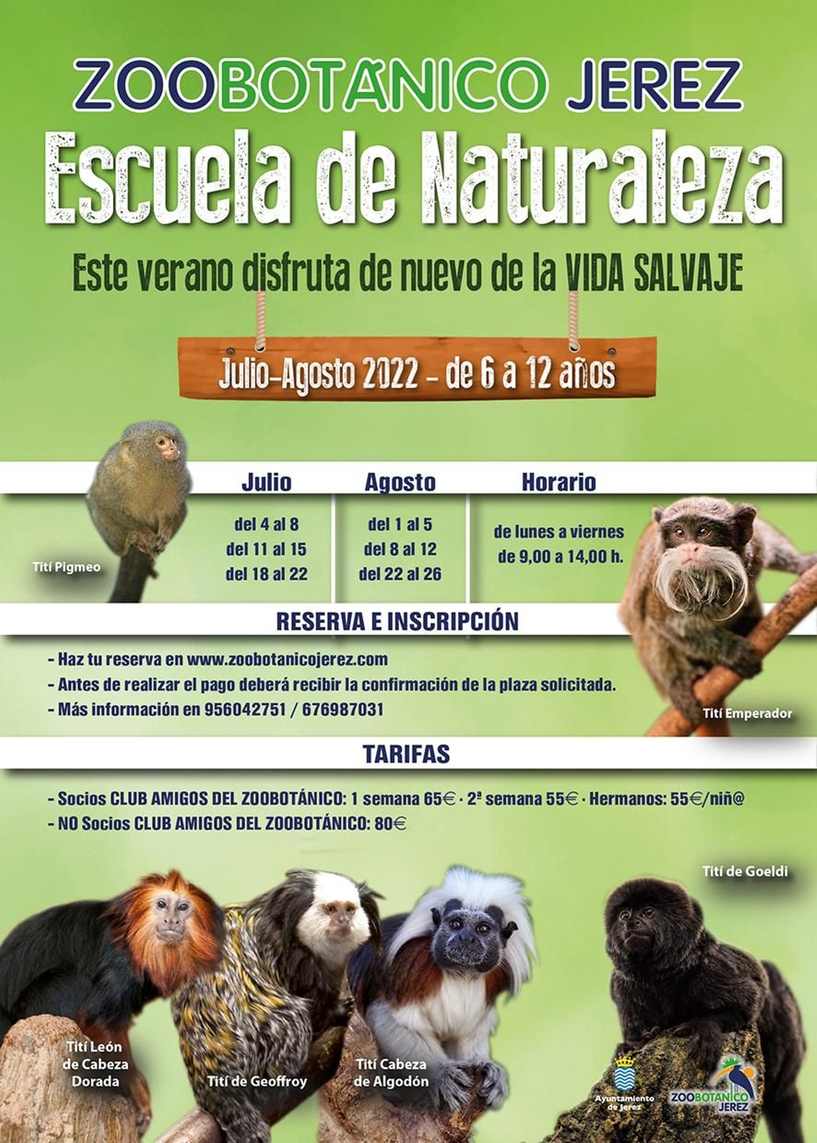 Siete campamentos infantiles para disfrutar del verano en Jerez