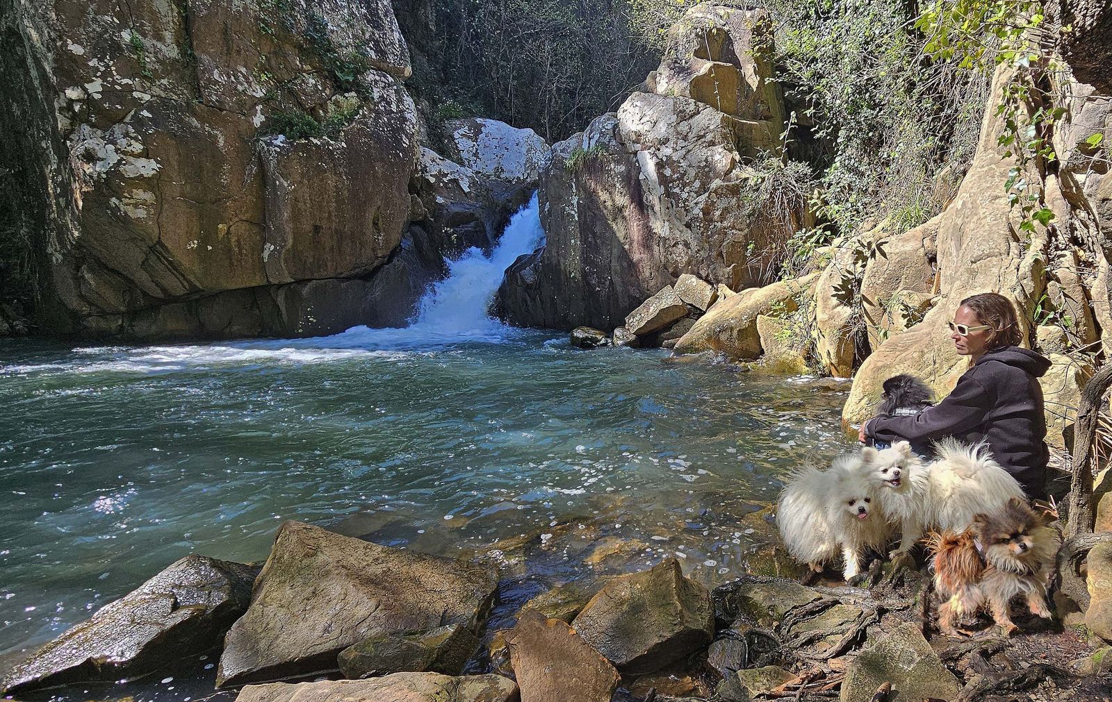 R֏ DE LA MIEL POZAS DEL COBRE ERASMO (247)