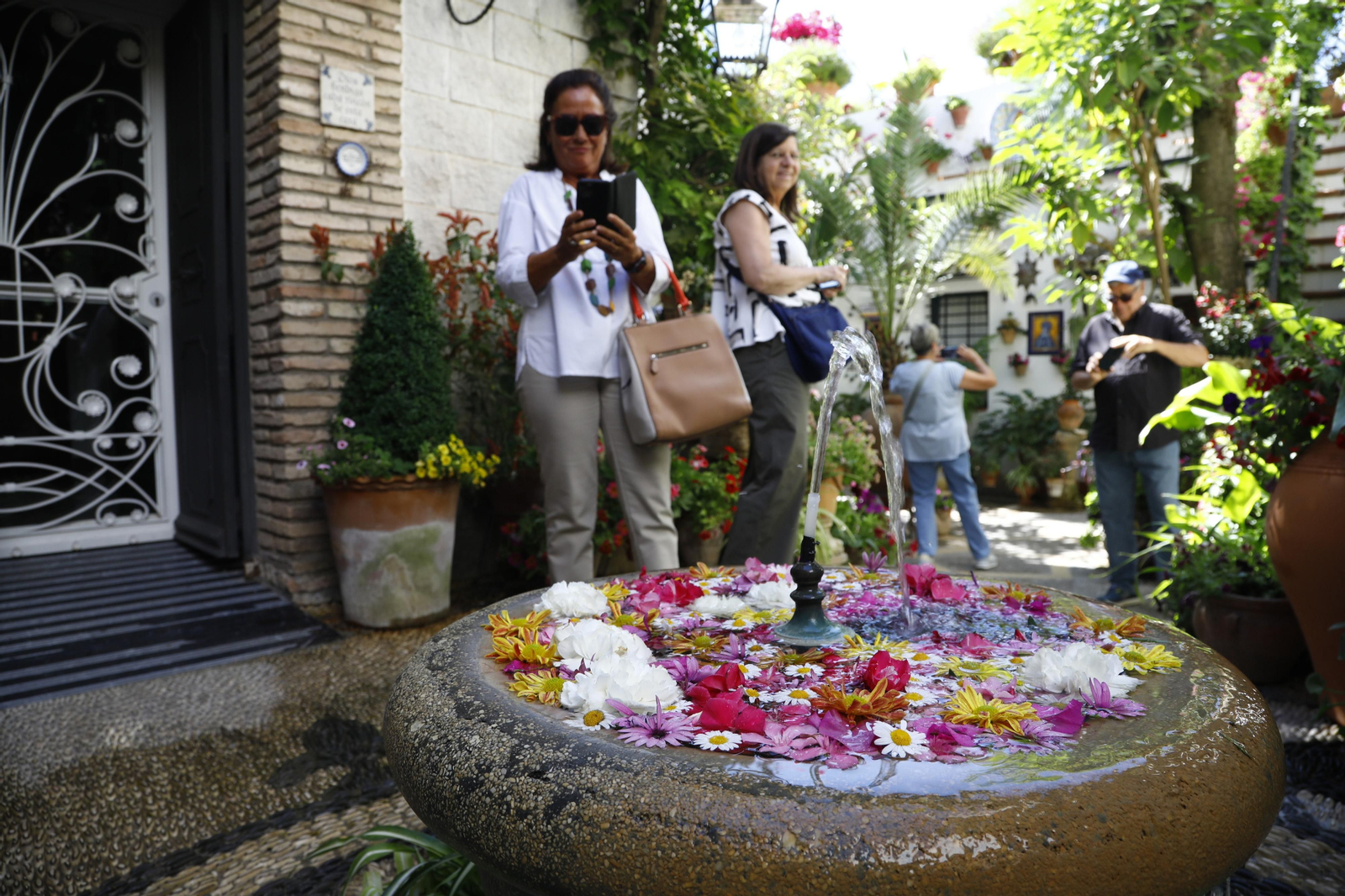 Los Patios de Córdoba se preparan para el fin de semana, en imágenes