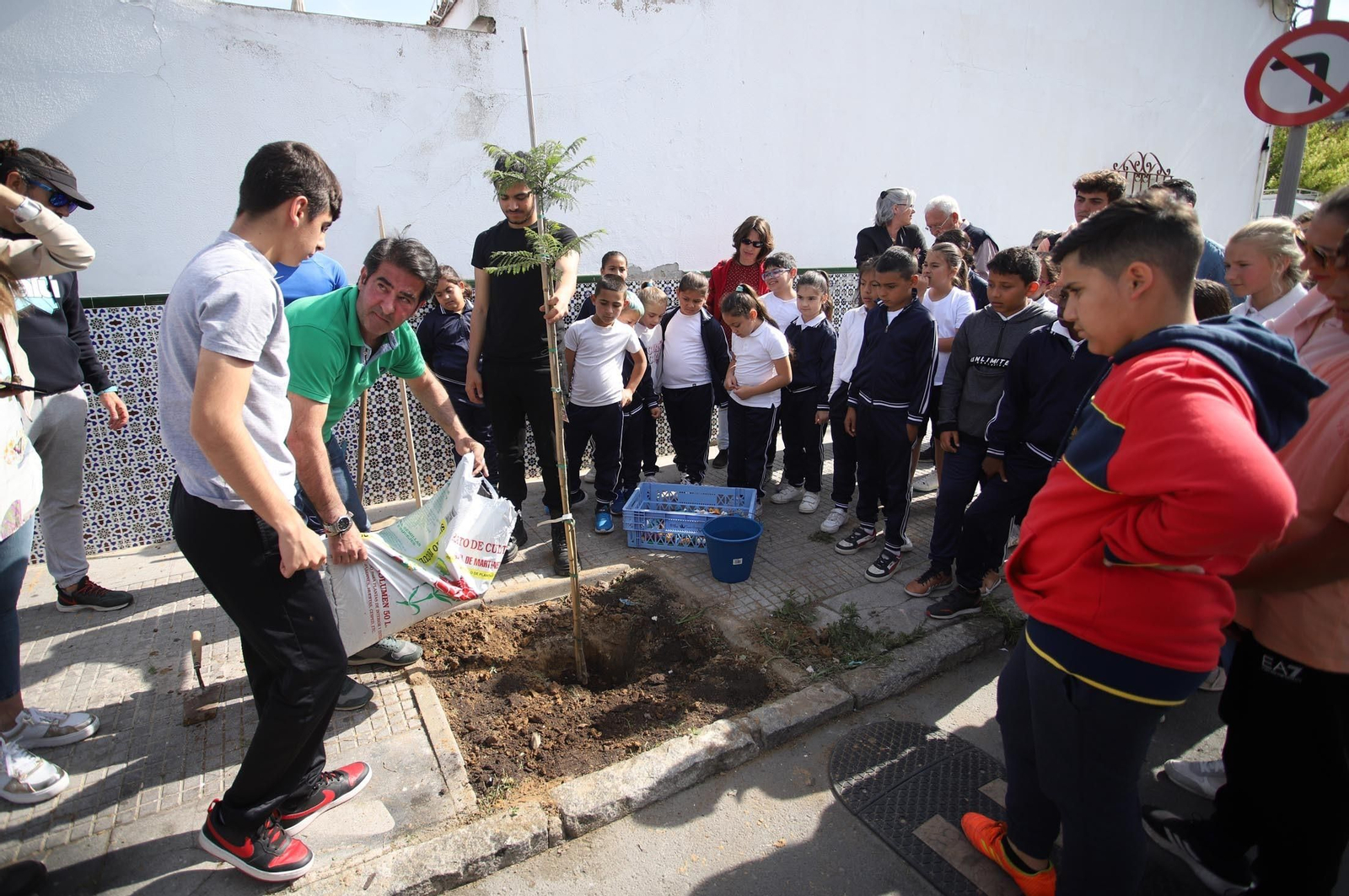 Imágenes la plantación de árboles en la Barriada de la Navidad por alumnos del Colegio Virgen de Belén