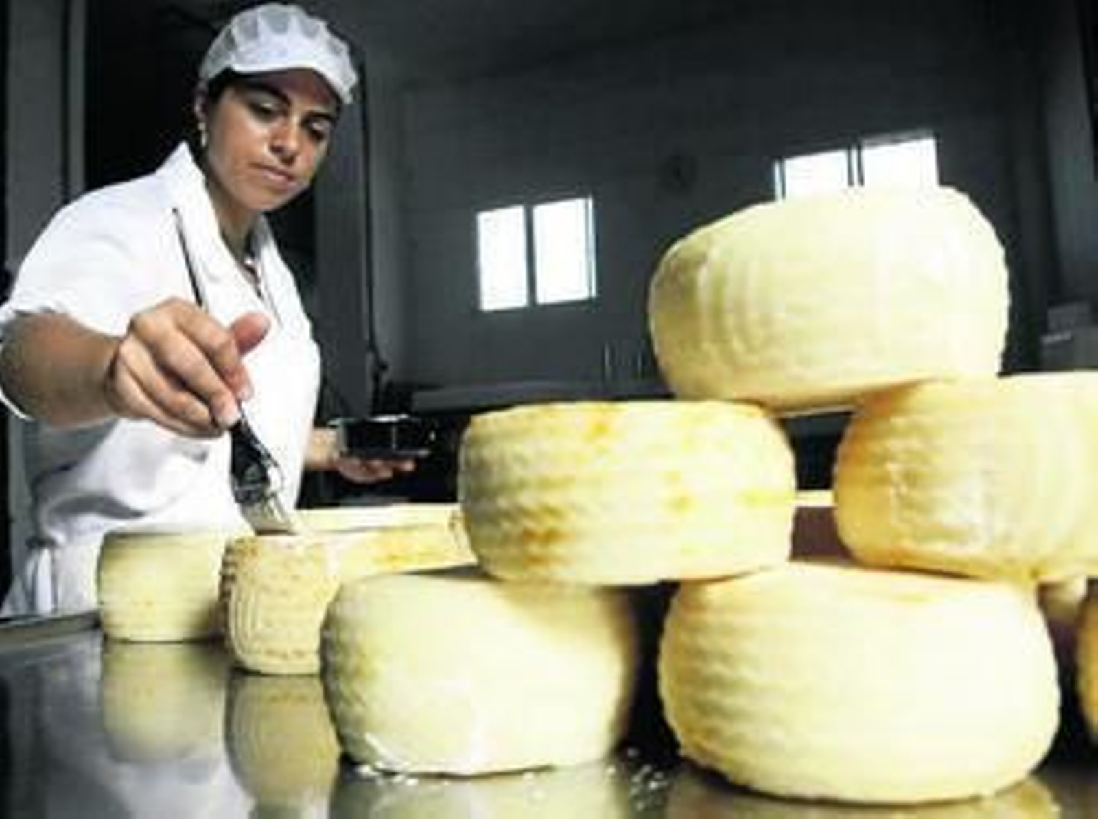 Últimos pasos en el proceso de elaboración del queso artesano.