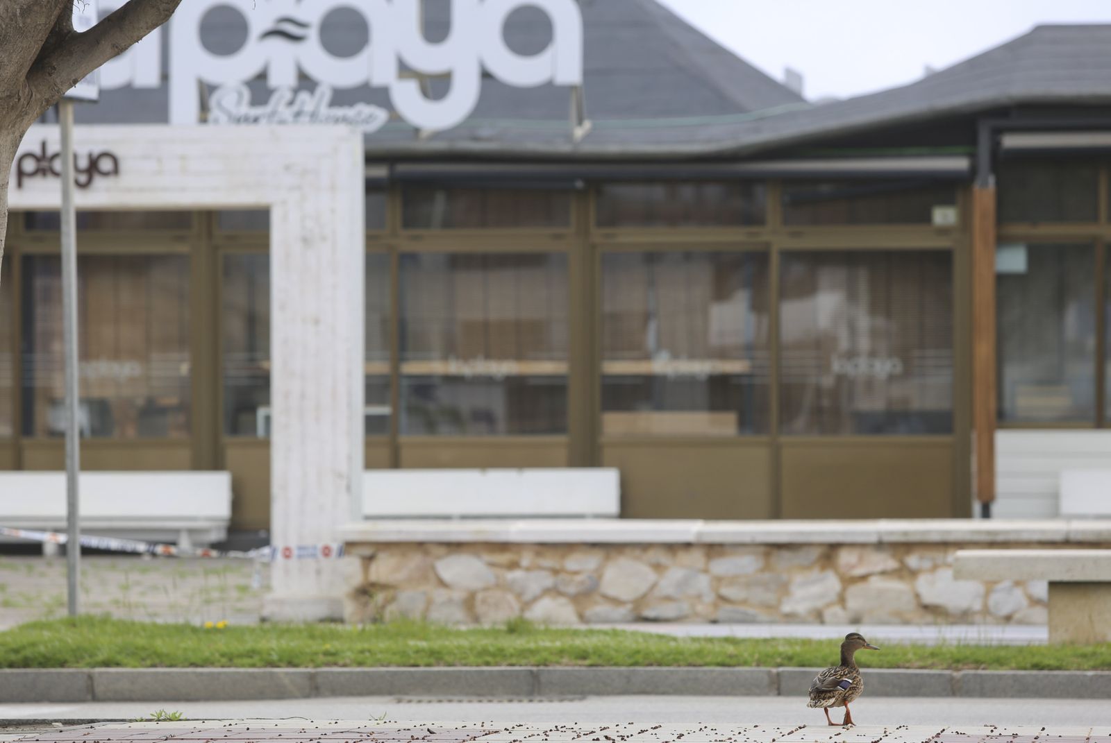 Playas cerradas en Torremolinos, la imagen del coronavirus en Málaga