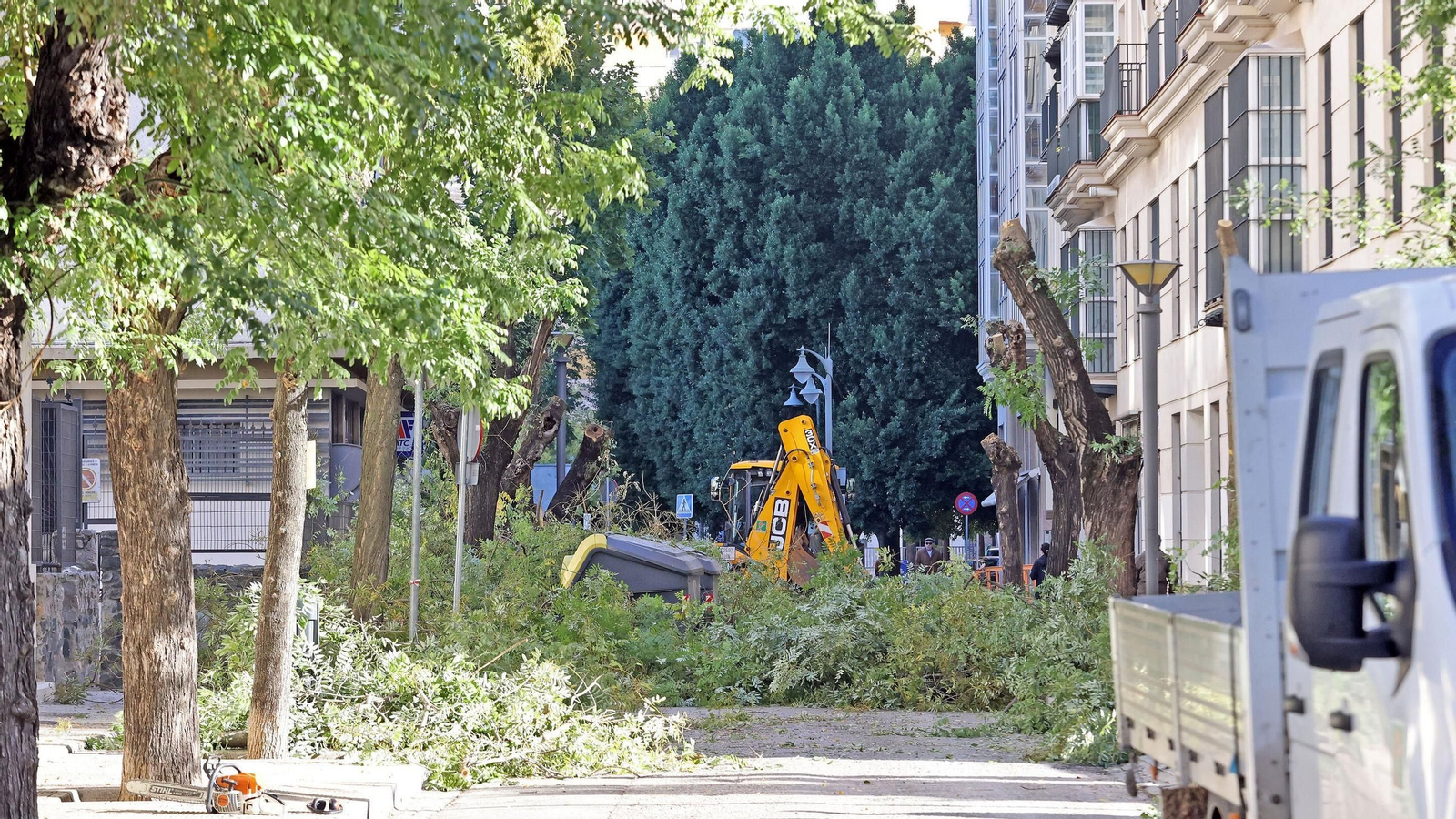 Trabajos de tala de las acacias de la calle Santo Domingo, el pasado lunes.