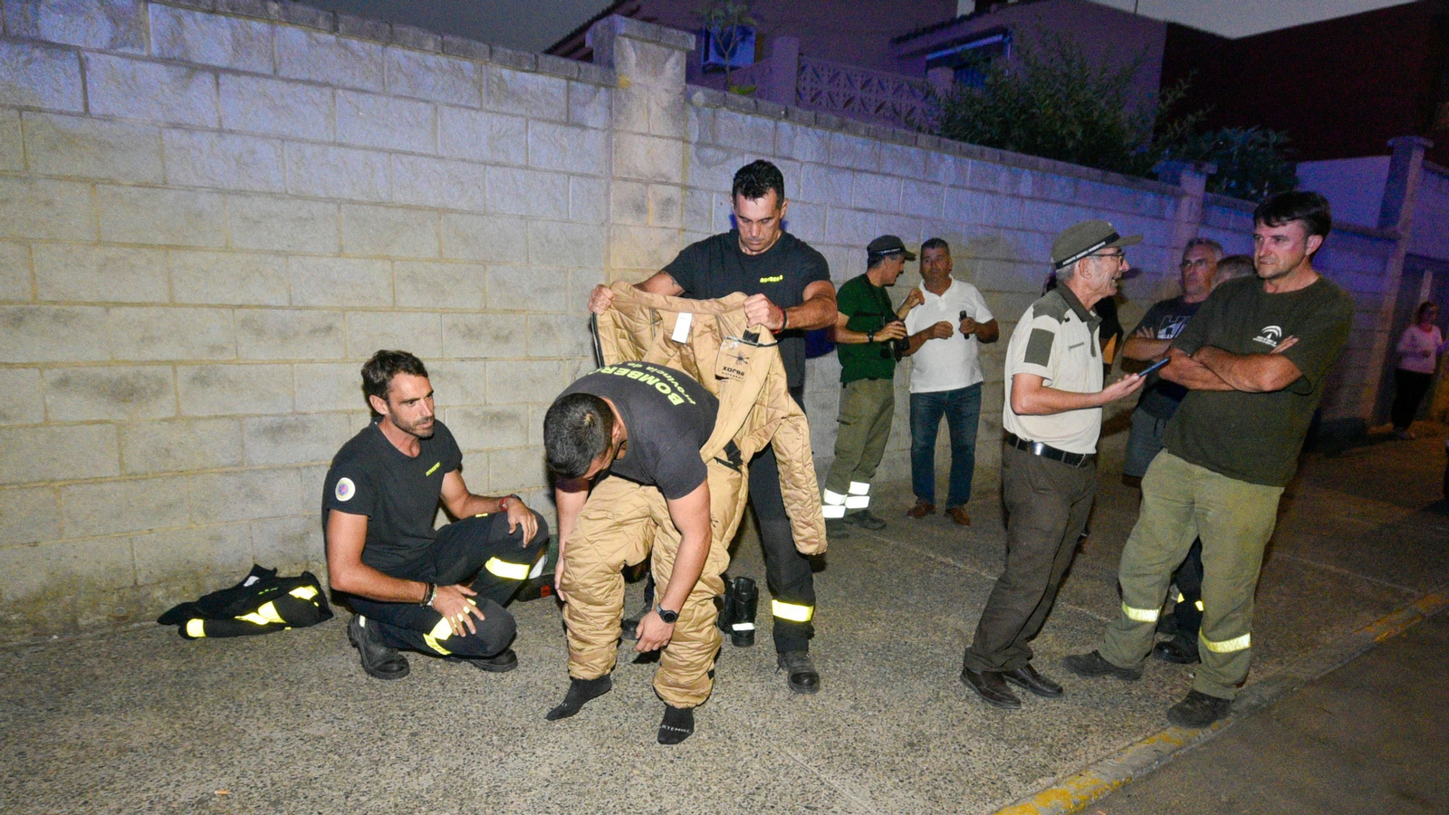 Las fotos de la retirada de un avispero asiático en Los Cortijillos