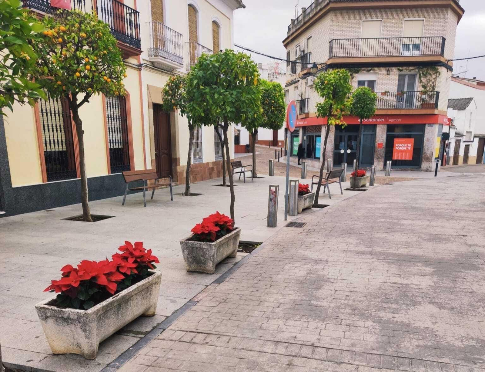 Una de las calles de Pedro Abad.
