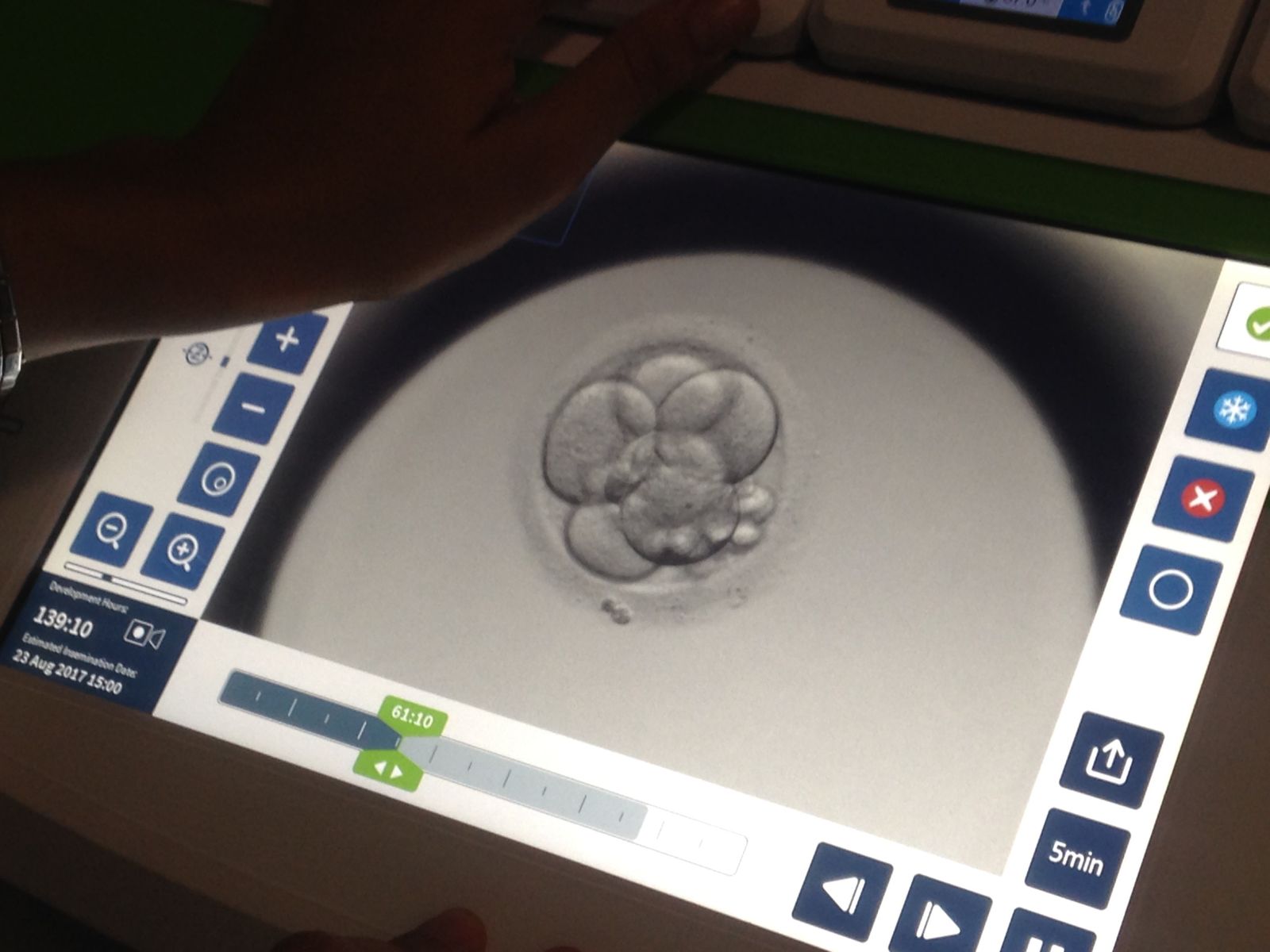 Incubador de embriones 'Geri'.