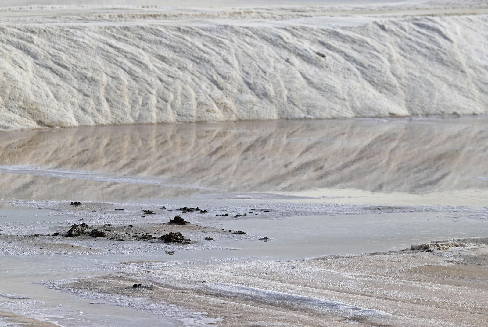 Paraje natural Marismas del Odiel, paraíso de Huelva entre salinas