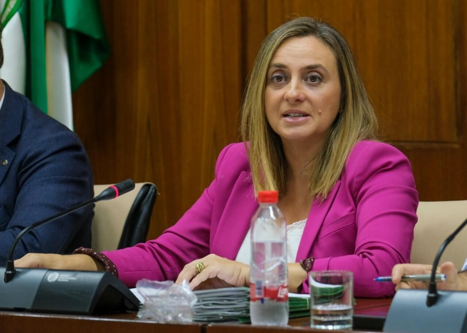 La Consejera de Fomento, Marifrán Carazo, este miércoles, en la comisión del Parlamento andaluz.