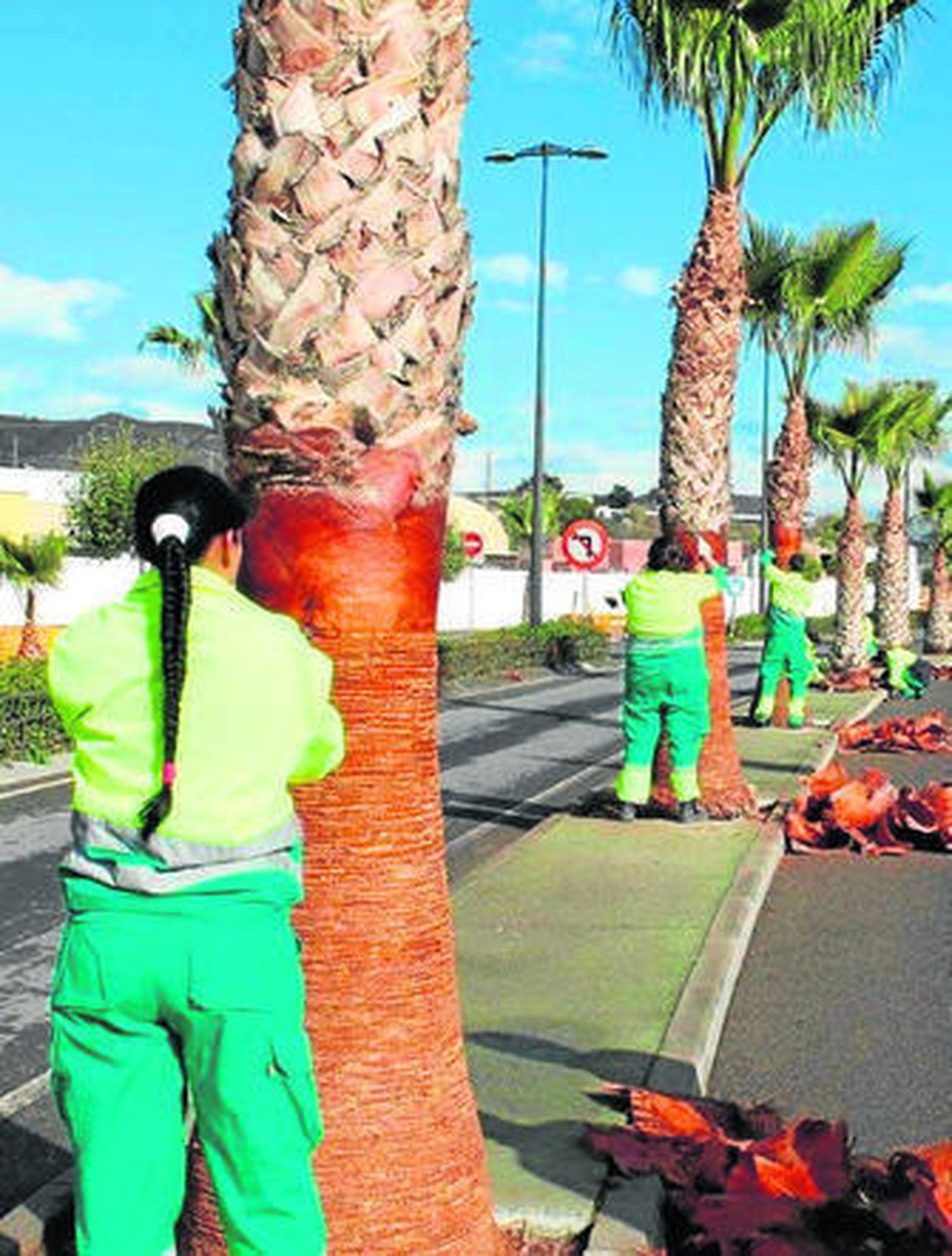 Los operarios contratados trabajan en varias zonas del municipio.