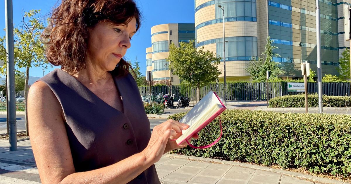 El PSOE de Granada promete reforzar la salud mental y denuncia la ...