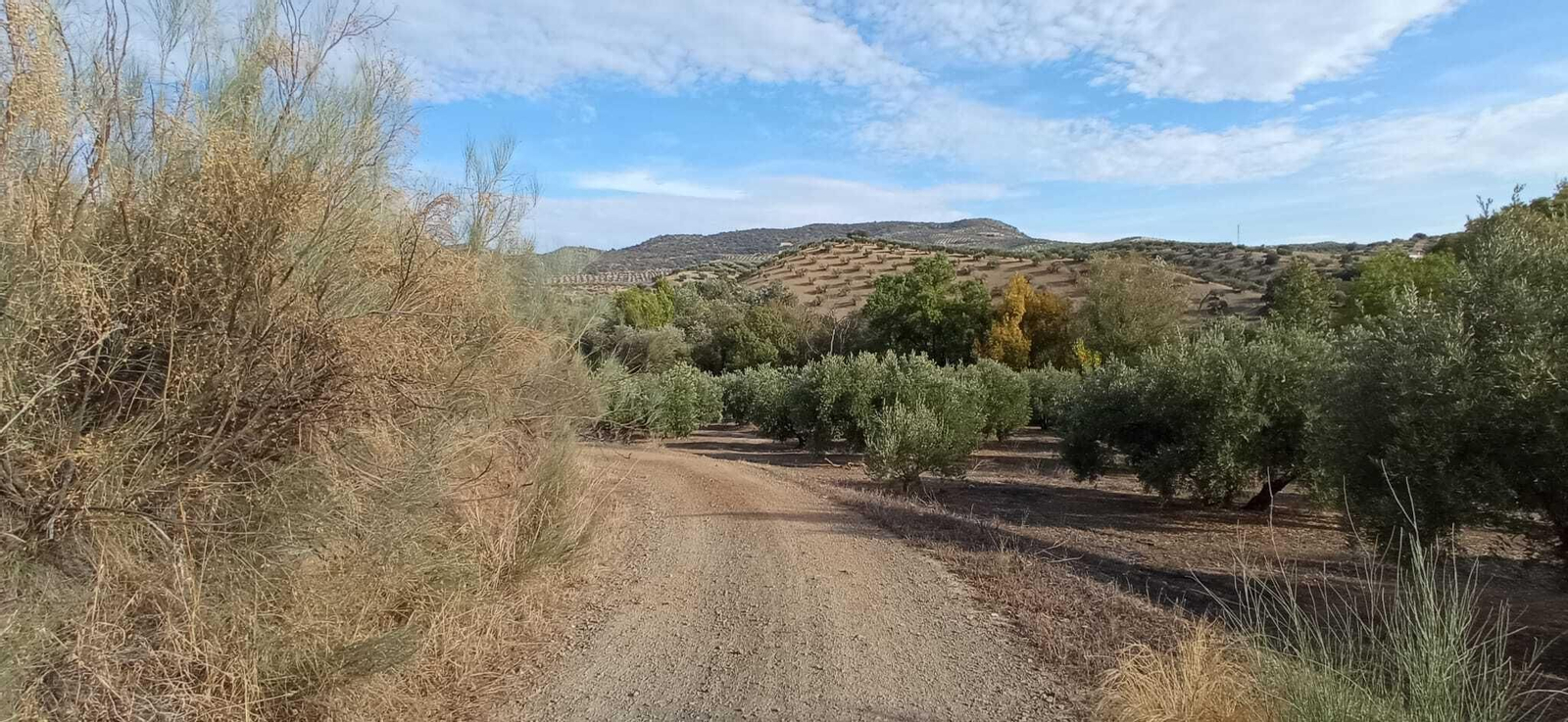 Las imágenes de la Ruta Zagrilla Baja - Esparragal - Zagrilla Baja