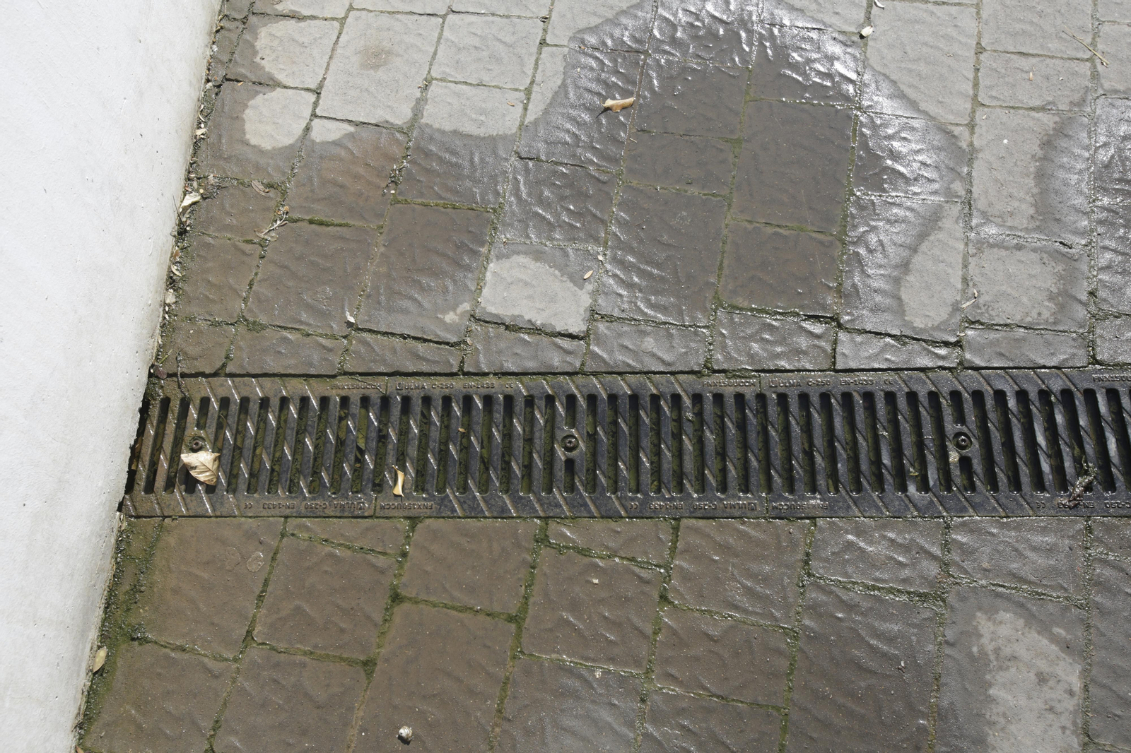 Abandono y mal estado de la plaza entre Mercadona y Plaza de Armas
