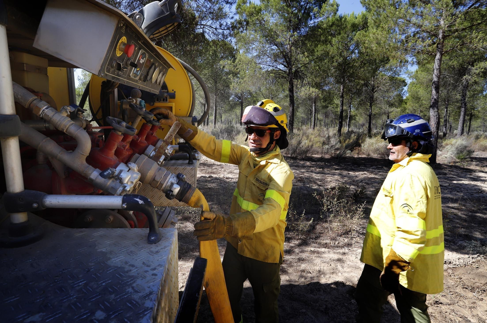 Imágenes de las zonas afectadas por los incendios de Almonte y Bonares