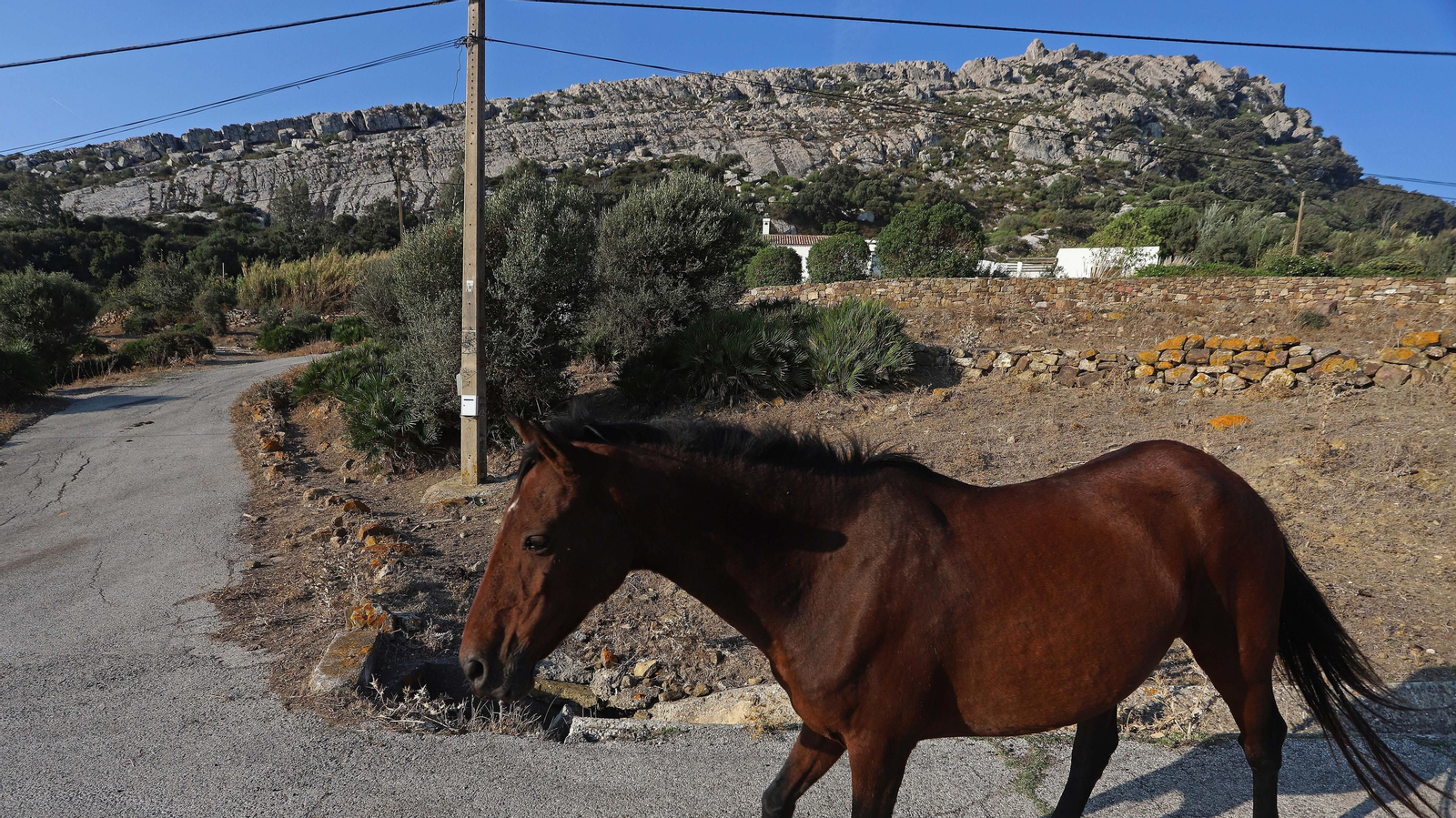 Fotos del sendero del Canuto del Arca en Tarifa