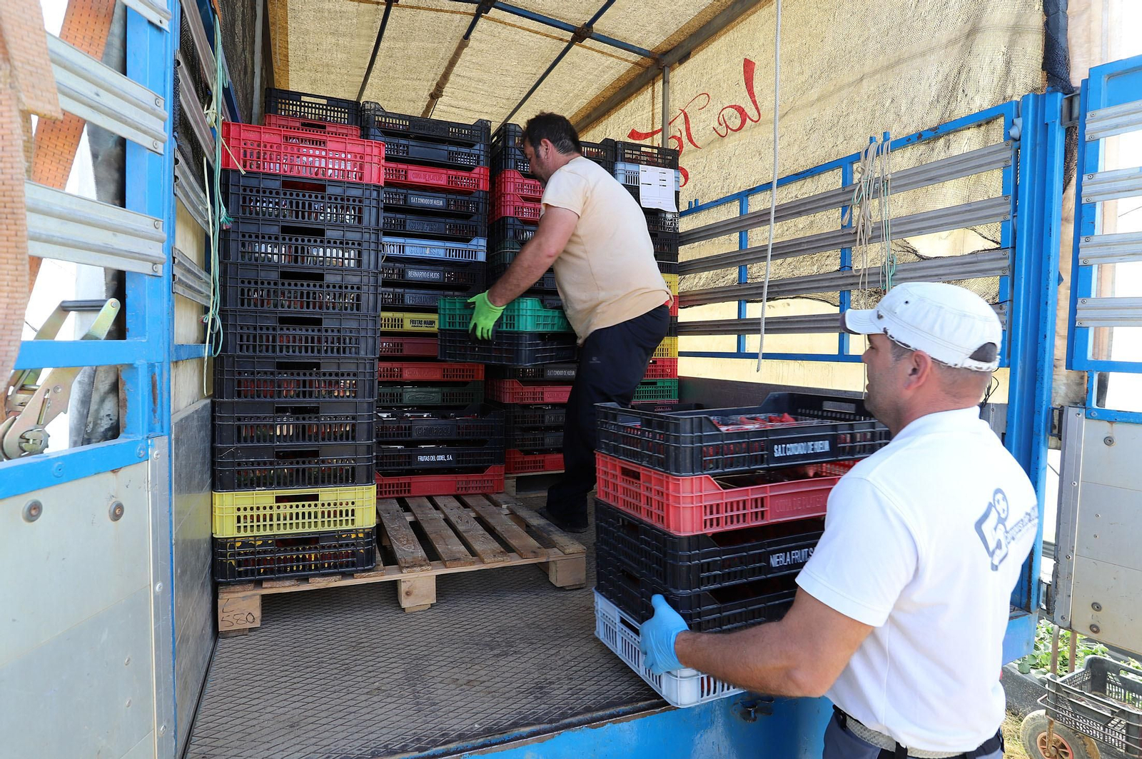 Imágenes de la realidad del trabajo en el campo