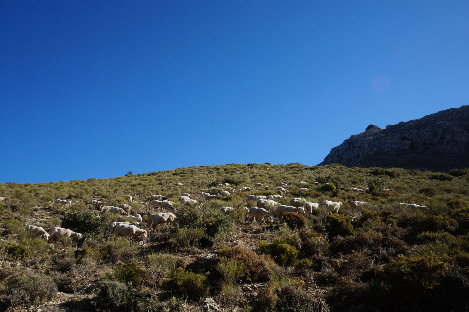 Un recorrido en fotografías de la subida a la Tiñosa, el pico más alto de Córdoba