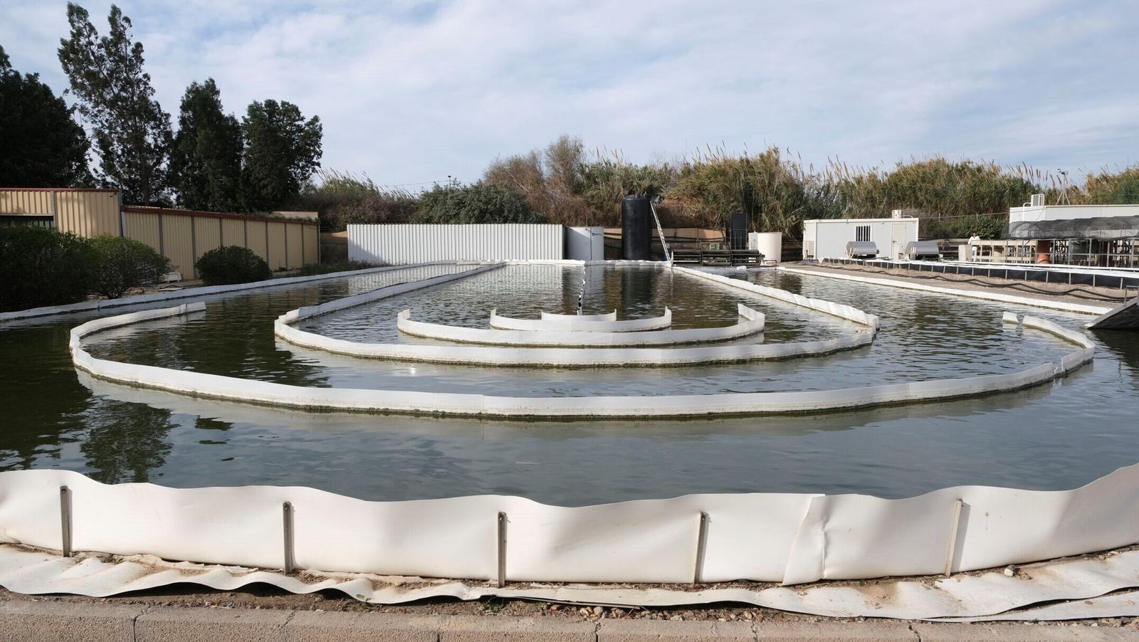 Cultivos de microalgas en el centro IFAPA de La Cañada.