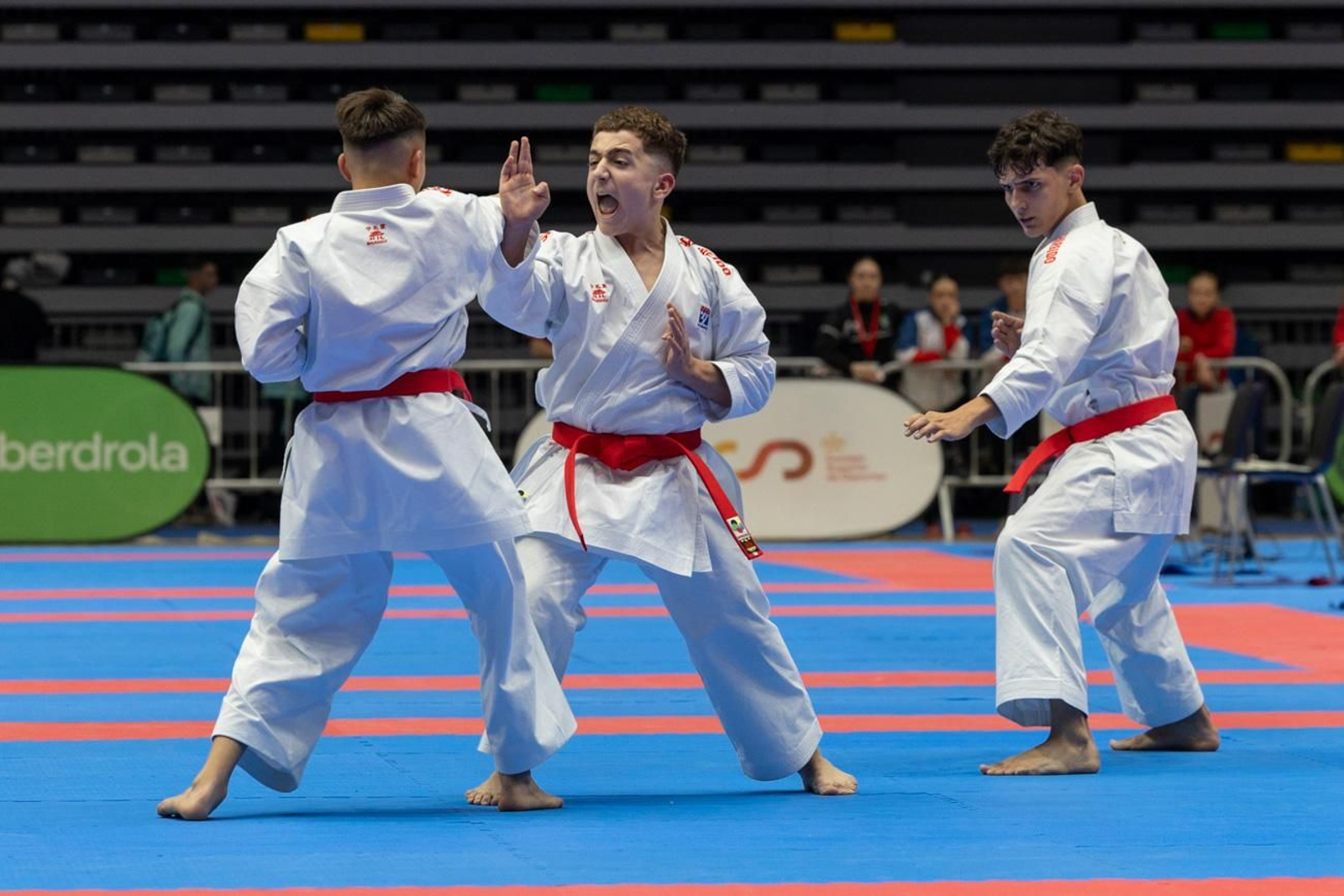 Campeonato de España de Kárate cadete, júnior y sub 21 brilla en Jaén