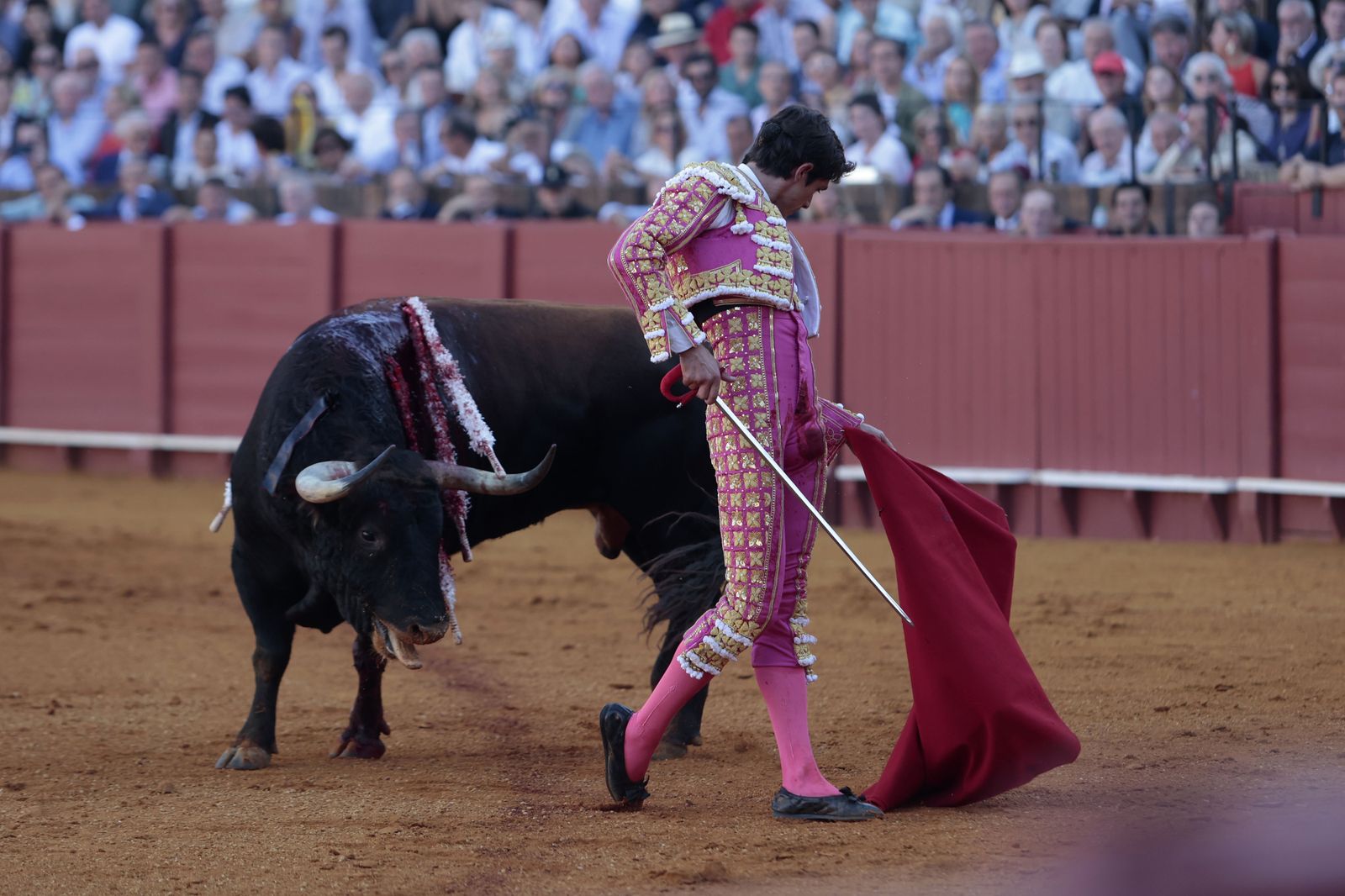 El triunfo de Castella en imágenes