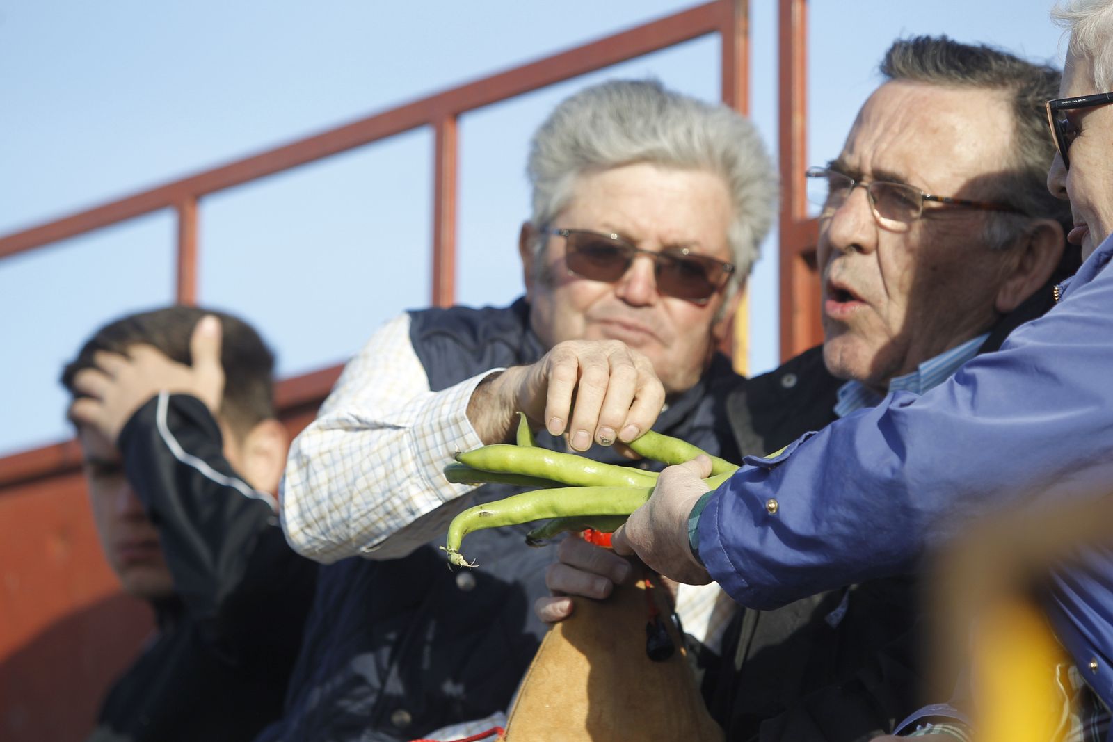 Fotogalería Festival Taurino Mixto. Fiestas de Abrucena.