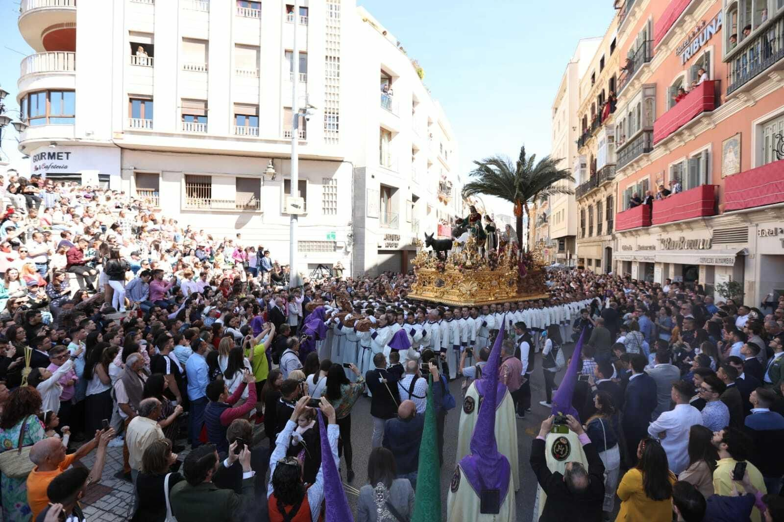 Las fotos de Pollinica en el Domingo de Ramos en Málaga