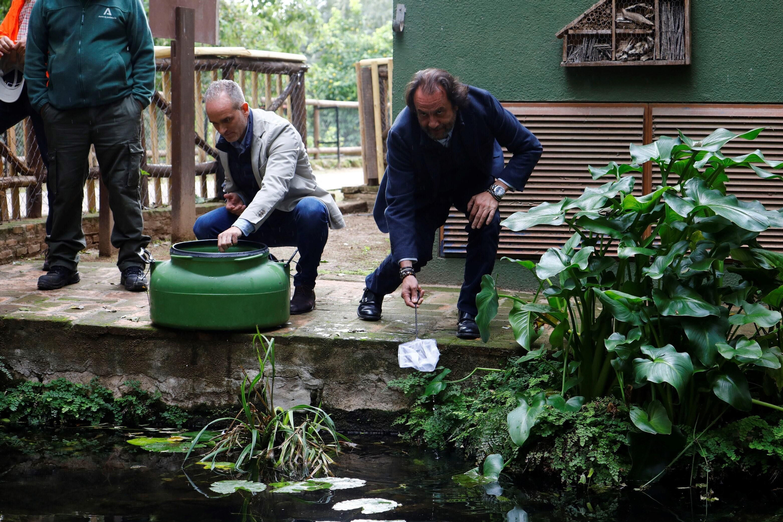 La suelta de salinetes en el zoo de Córdoba, en imágenes La suelta de salinetes en el zoo de Córdoba, en imágenes