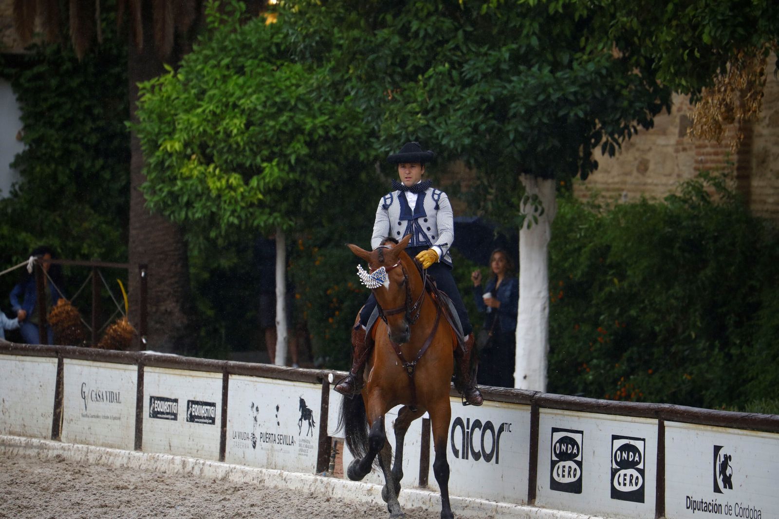 La celebración de la VI Copa de España de Alta Escuela en Córdoba, en imágenes