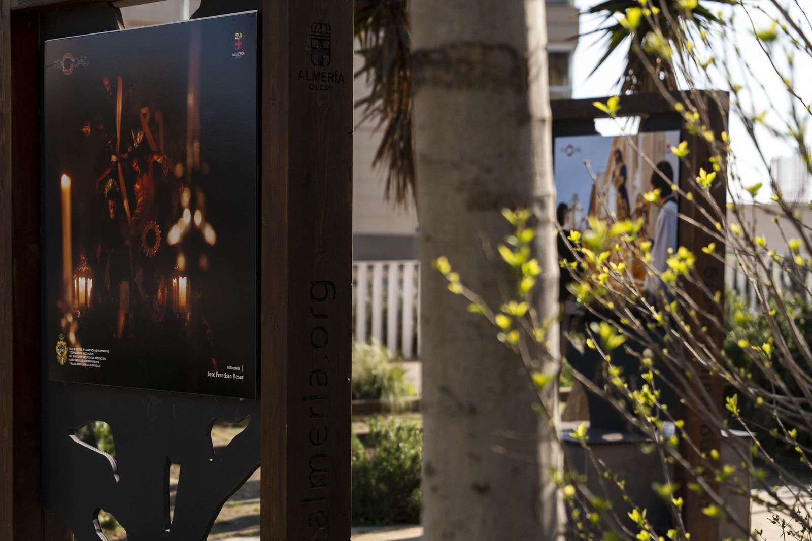 Exposición "La otra mirada" de los Fotógrafos Cofrades de Almería Focoal, en imágenes