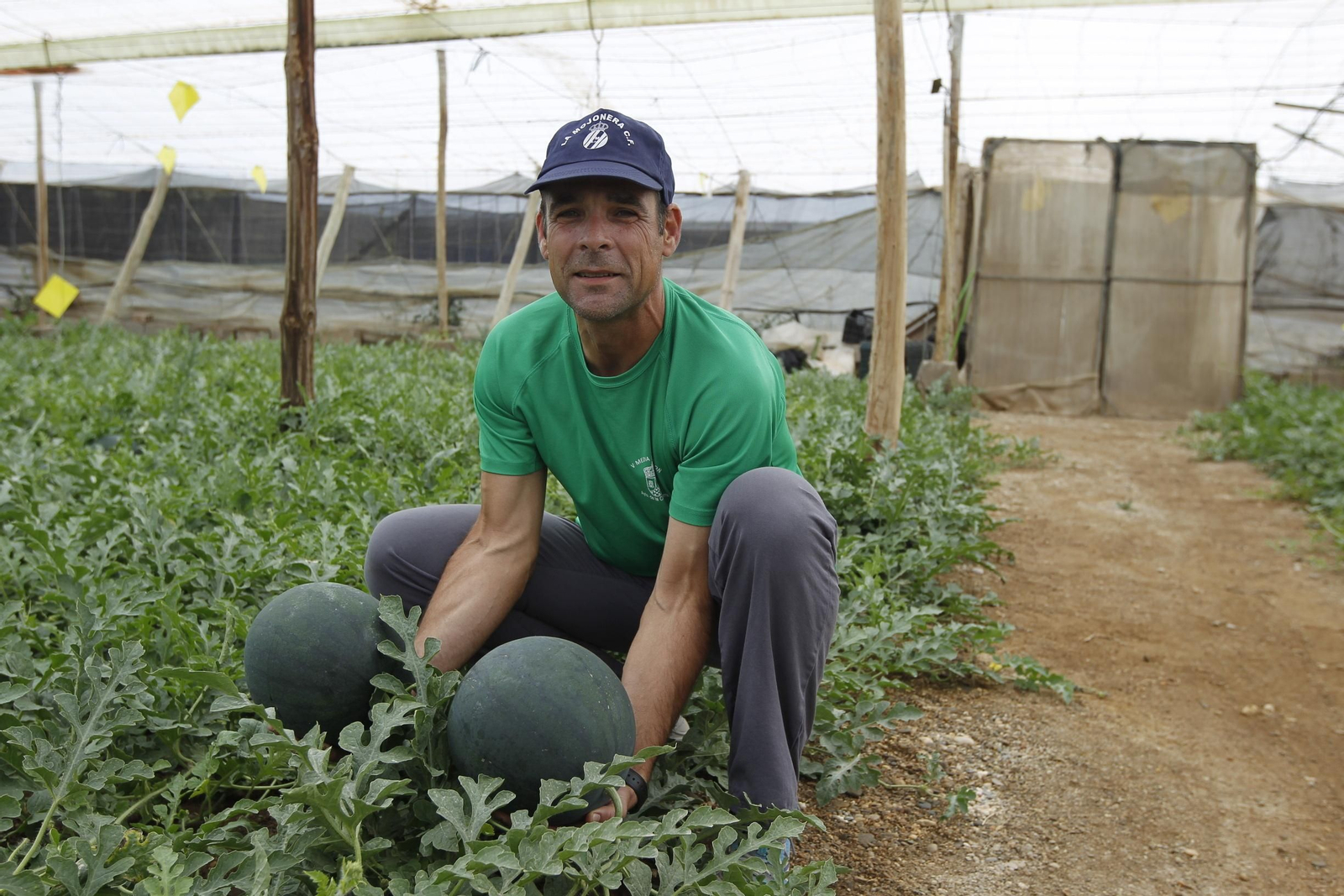 La sandía se ha convertido en una fruta altamente demandada y un producto estrella para Almería.