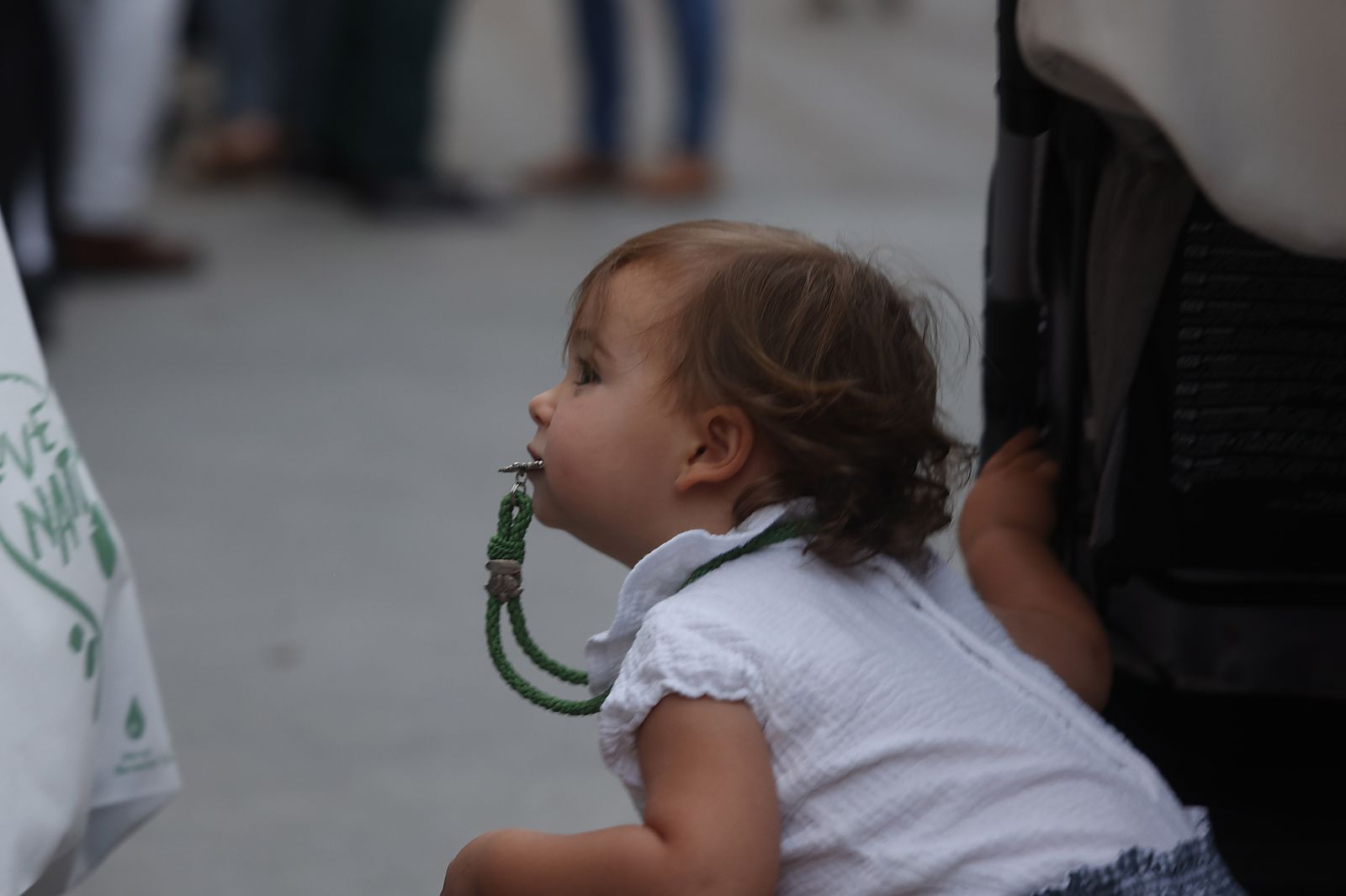 Imágenes del traslado del Simpecado de la Hermandad del Rocío de Triana