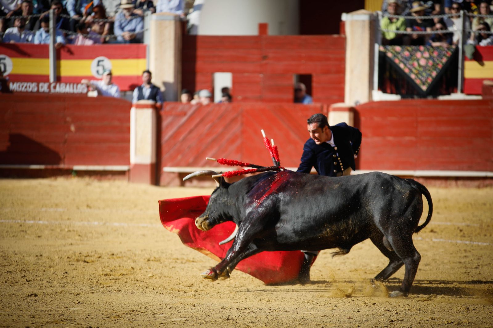 Imágenes del festival mixto lucha contra el cáncer