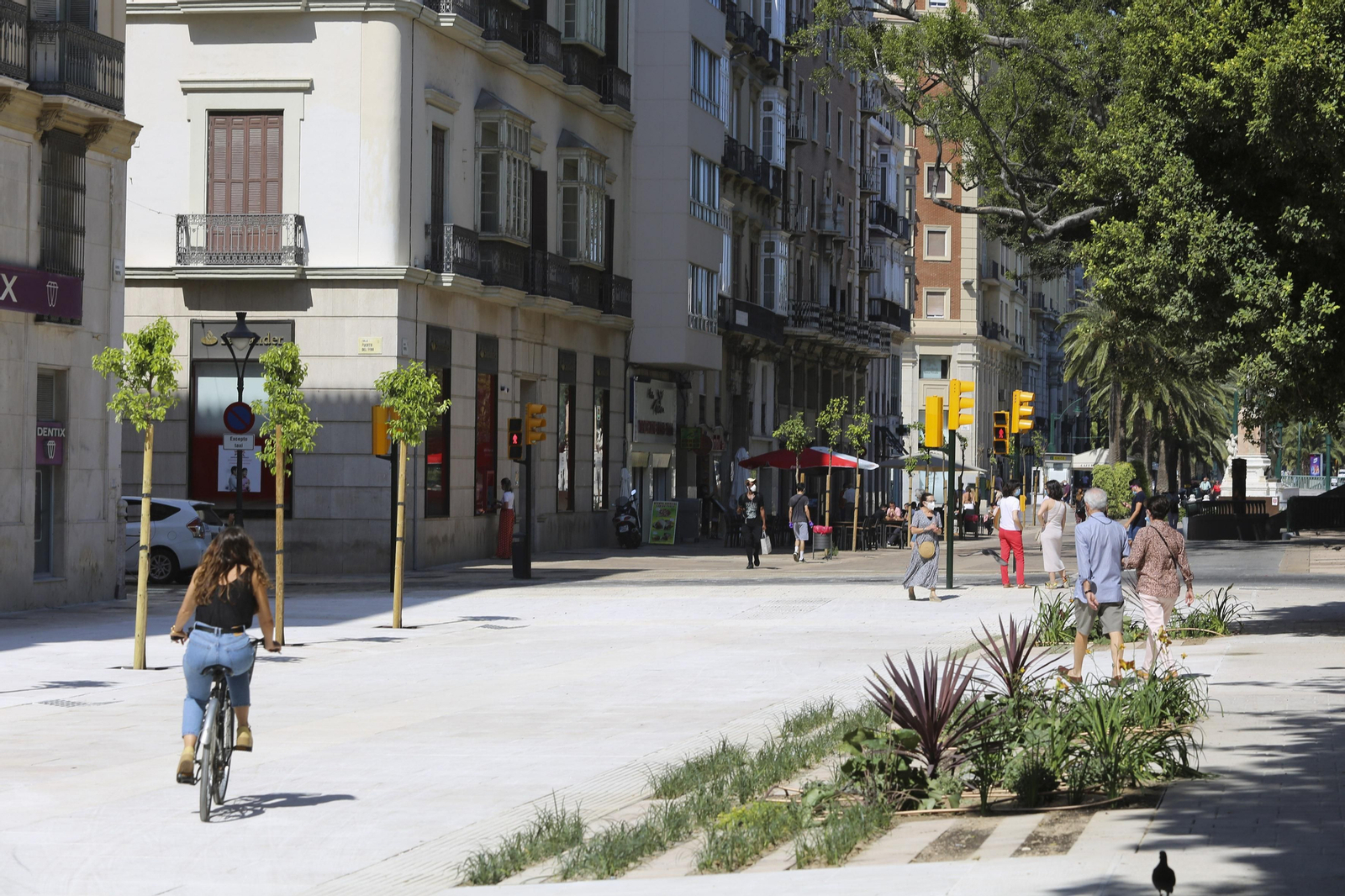 Las fotos de la Alameda Principal de Málaga Las fotos de la Alameda Principal de Málaga