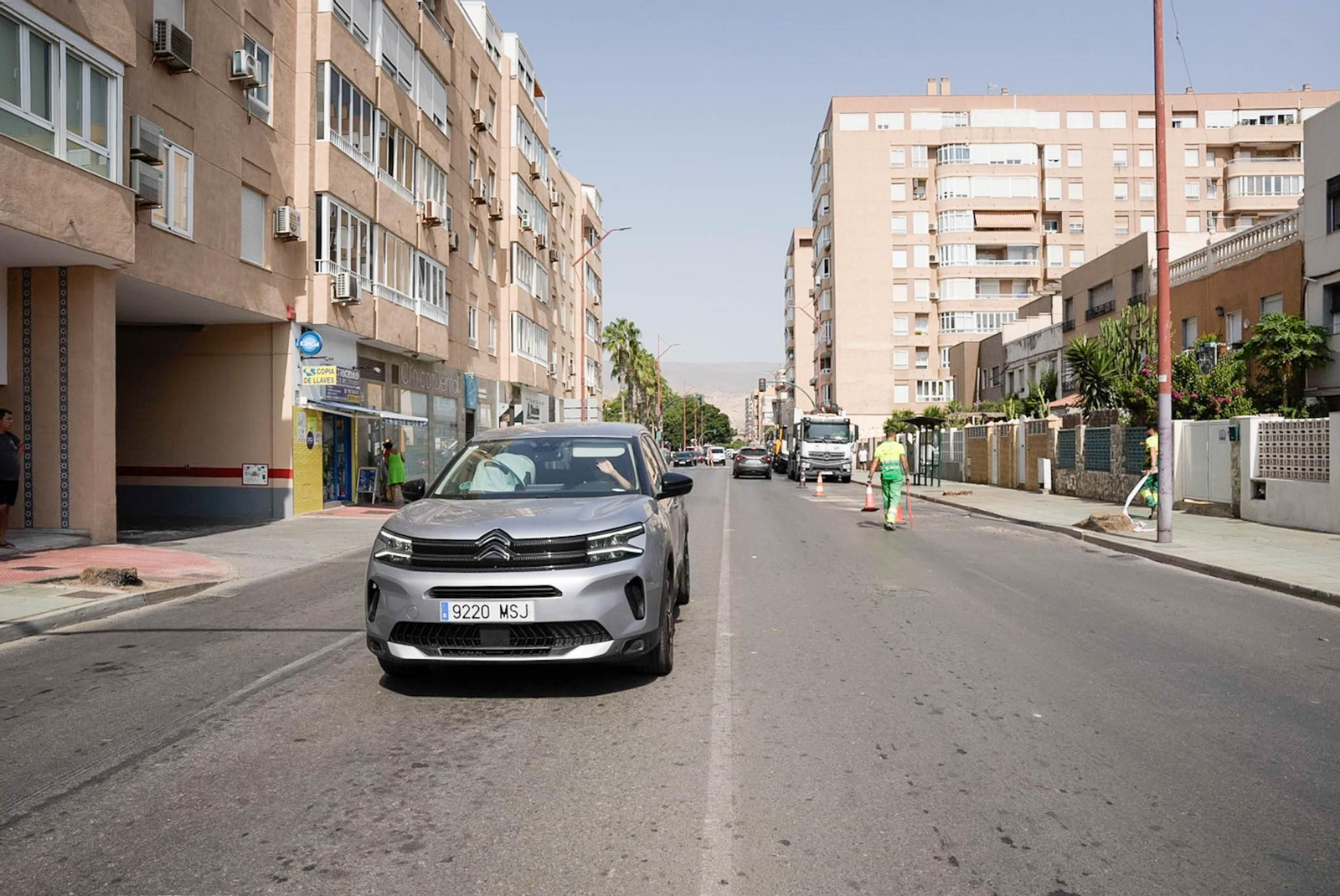 Completan la tala de palmeras de la avenida Cabo de Gata