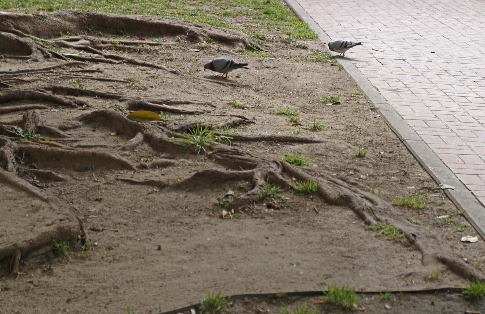 Las imágenes más destacadas del lunes 10 de febrero en Huelva