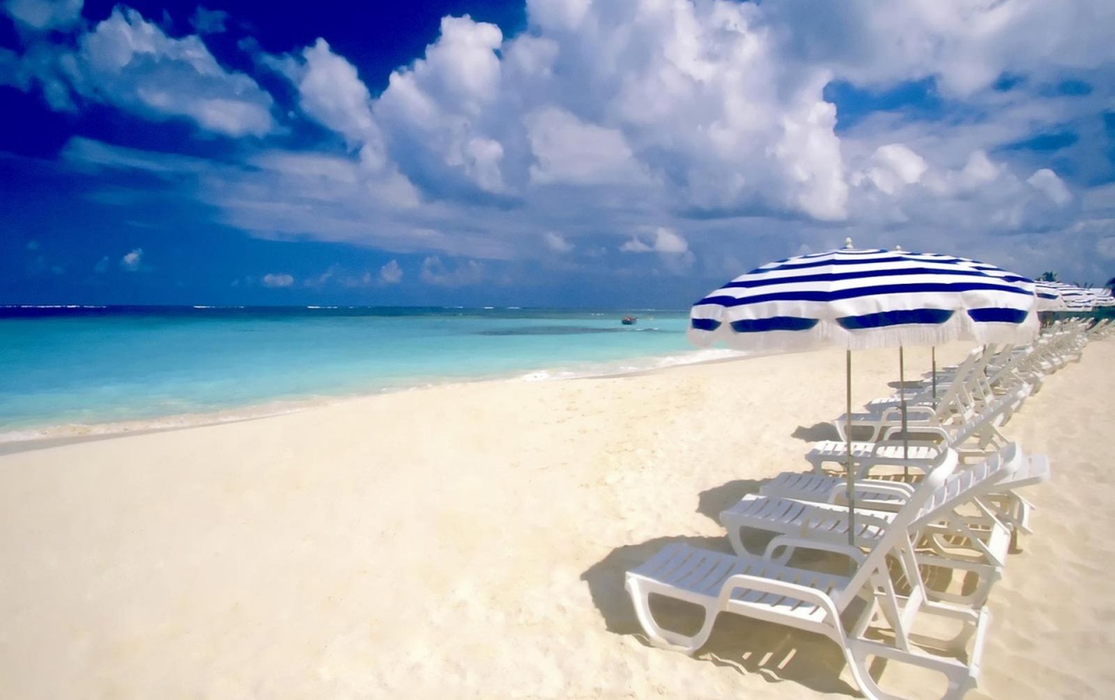 Tumbonas en una playa