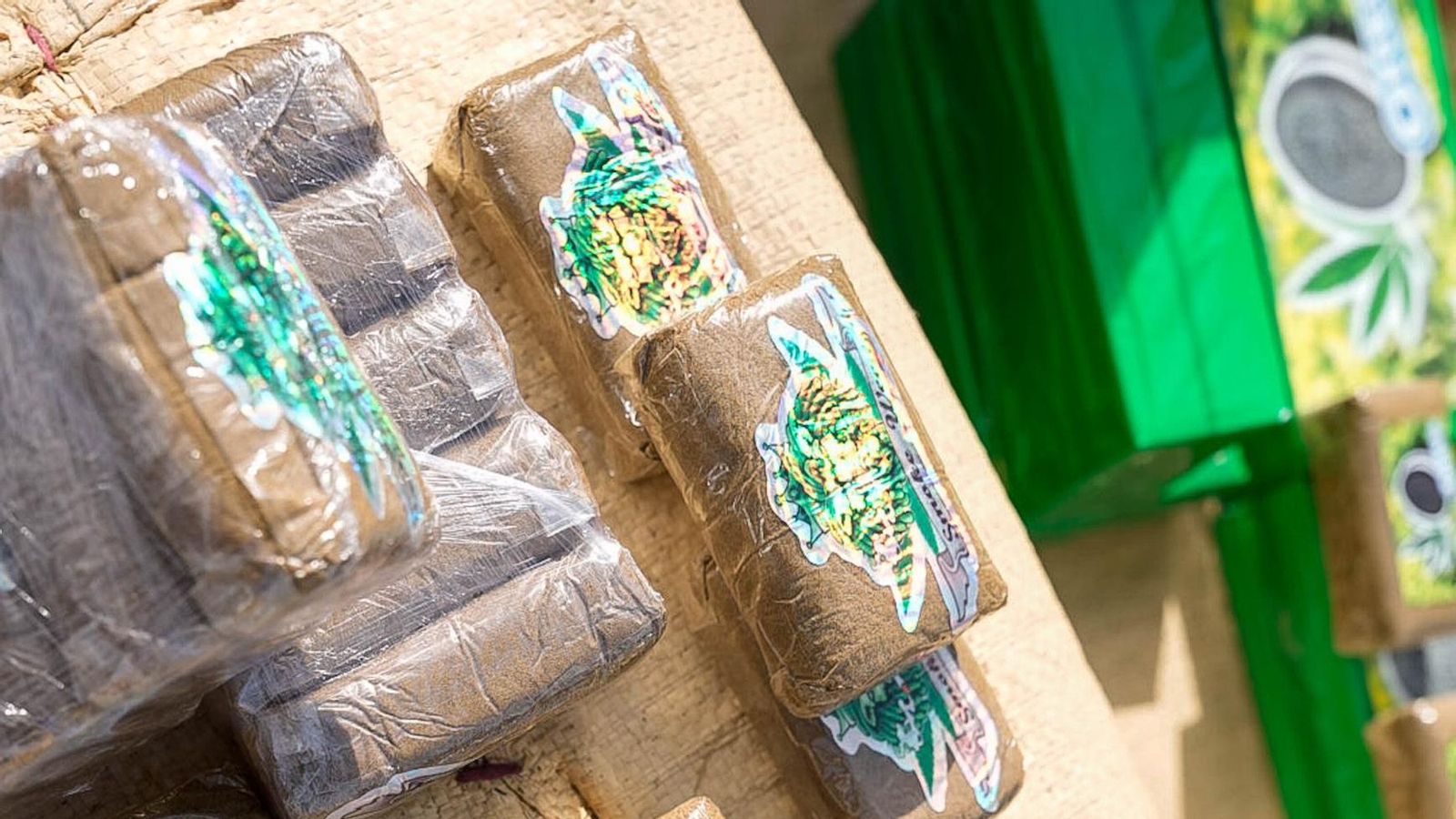 Hachis, marihuana y armas ocultas en El Puche y El Acebuche.