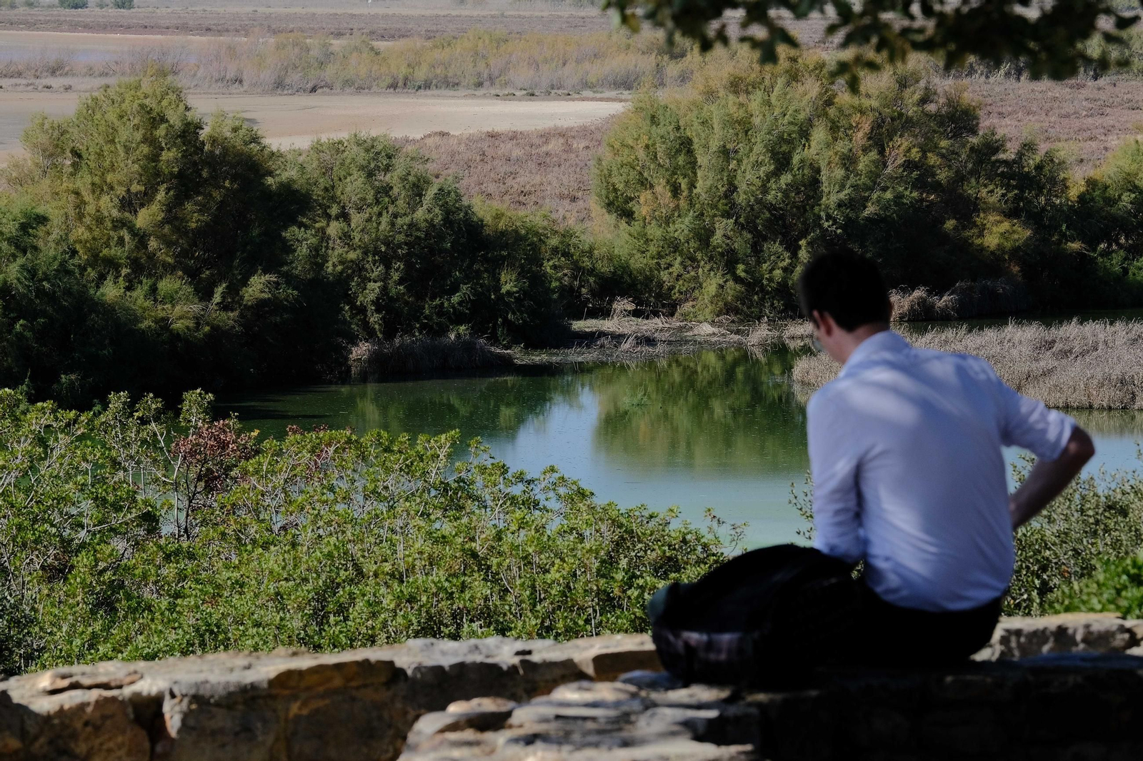 Laguna de Fuente de Piedra tras las lluvias, en fotos
