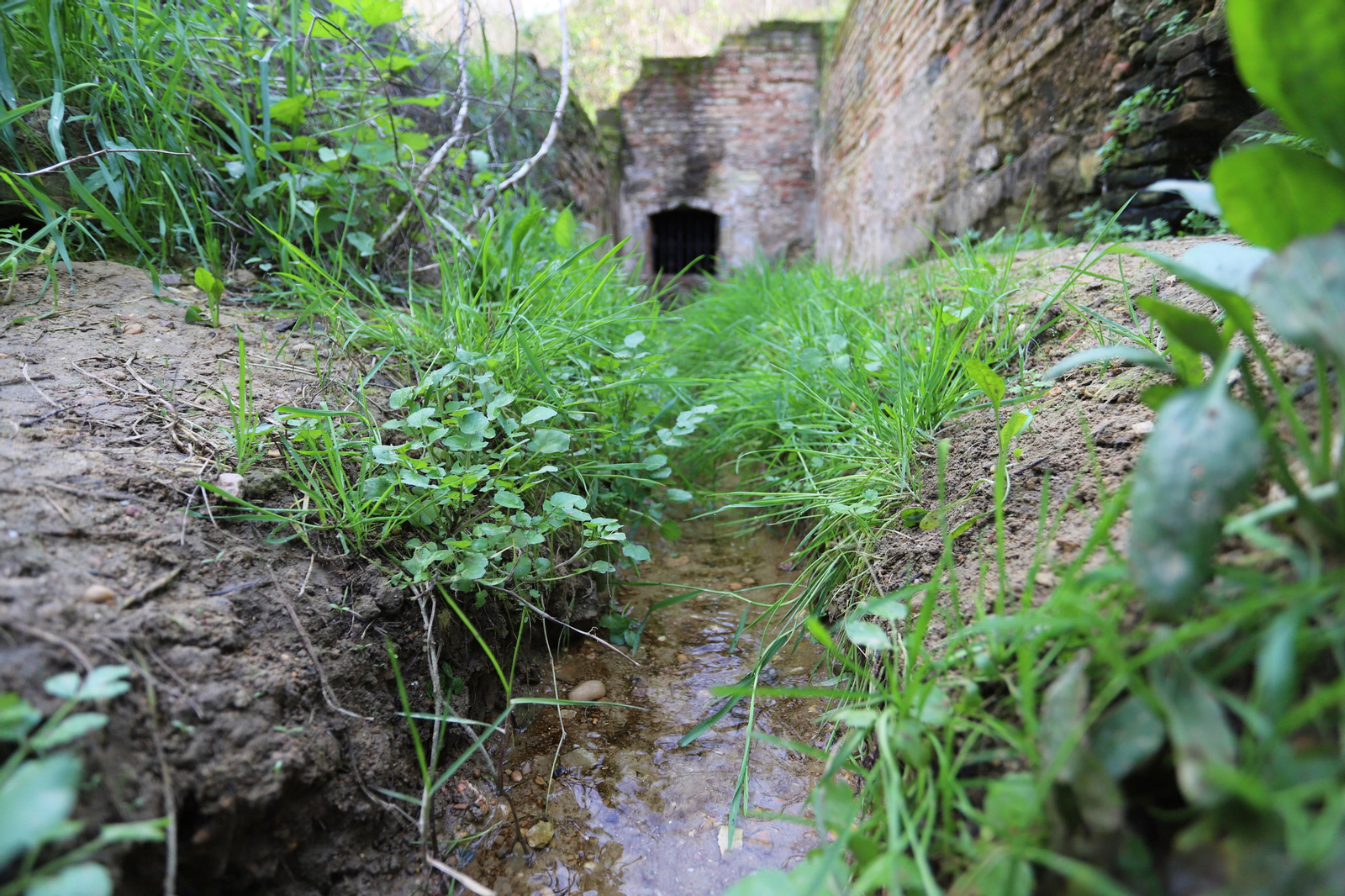 Imágenes del mirador del Conquero, de los cabezos y Fuentevieja