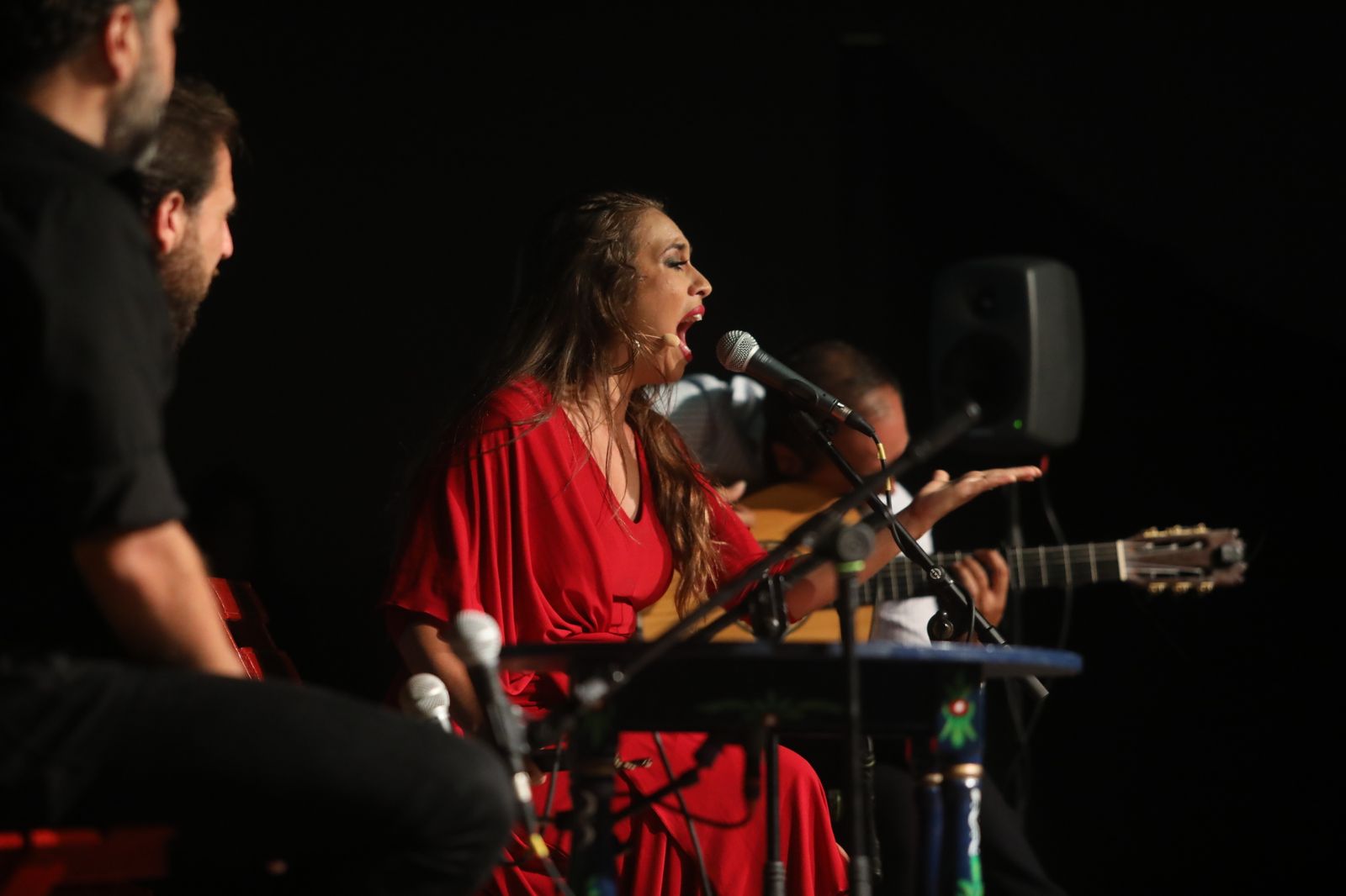 La noche flamenca en el Parque de San Fernando, en imágenes