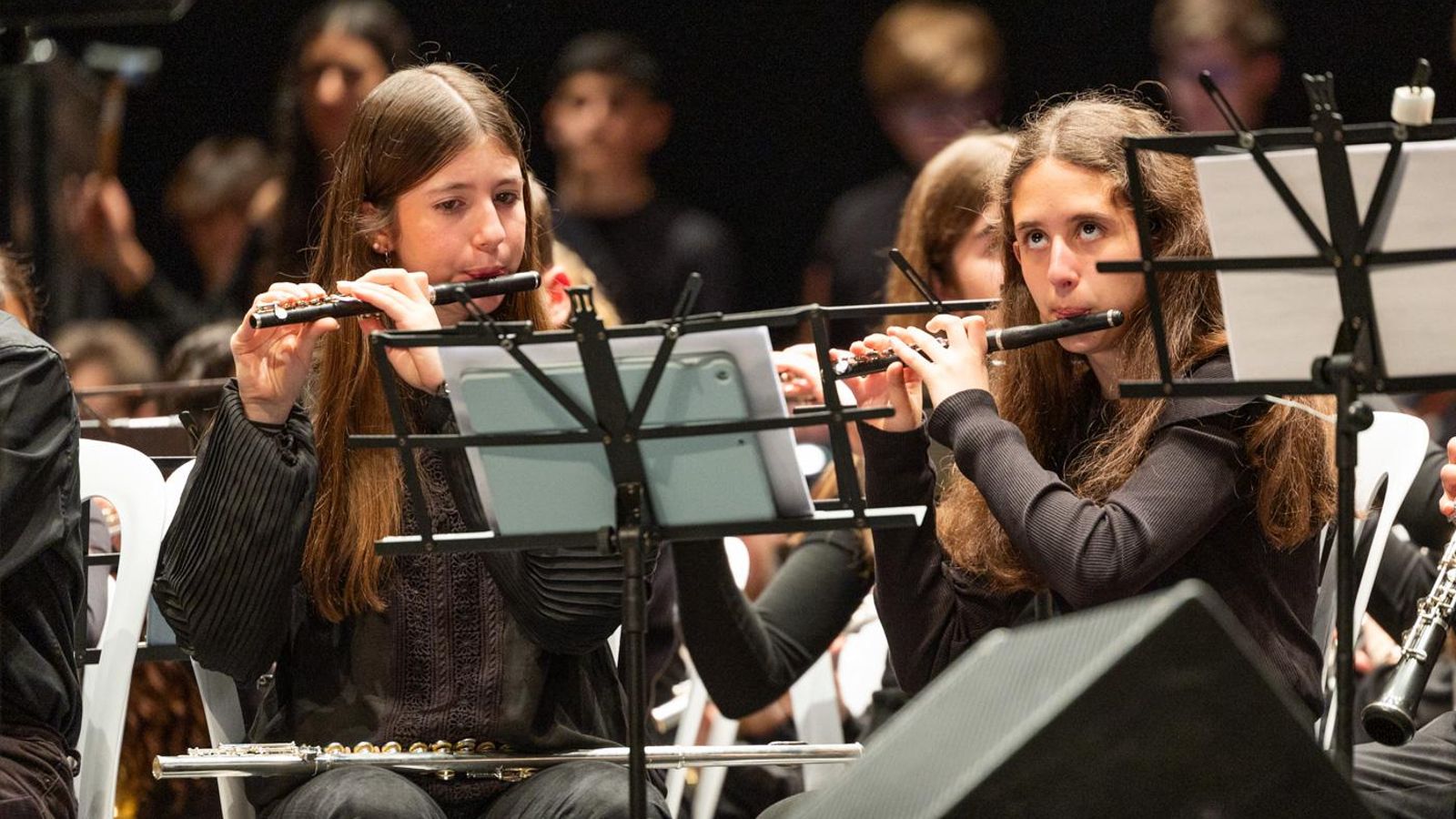 Concierto de música procesional de Andalucía 'Sonidos de la Semana Santa'