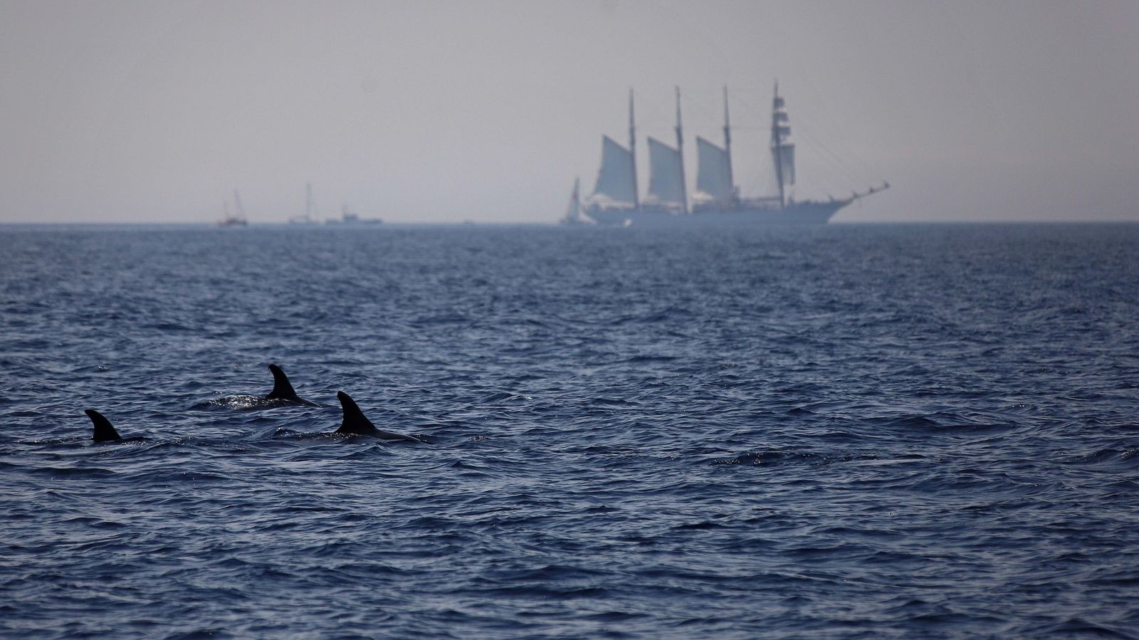 Fotos del 'Juan Sebastián Elcano' navegando por el Estrecho