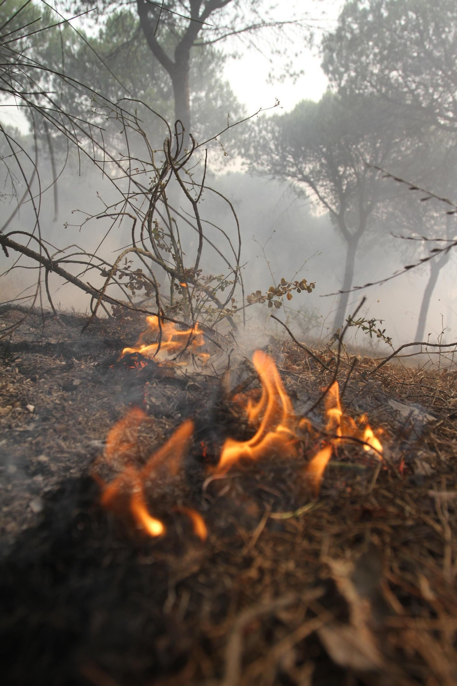 Las imágenes del incendio en Moguer y Mazagón