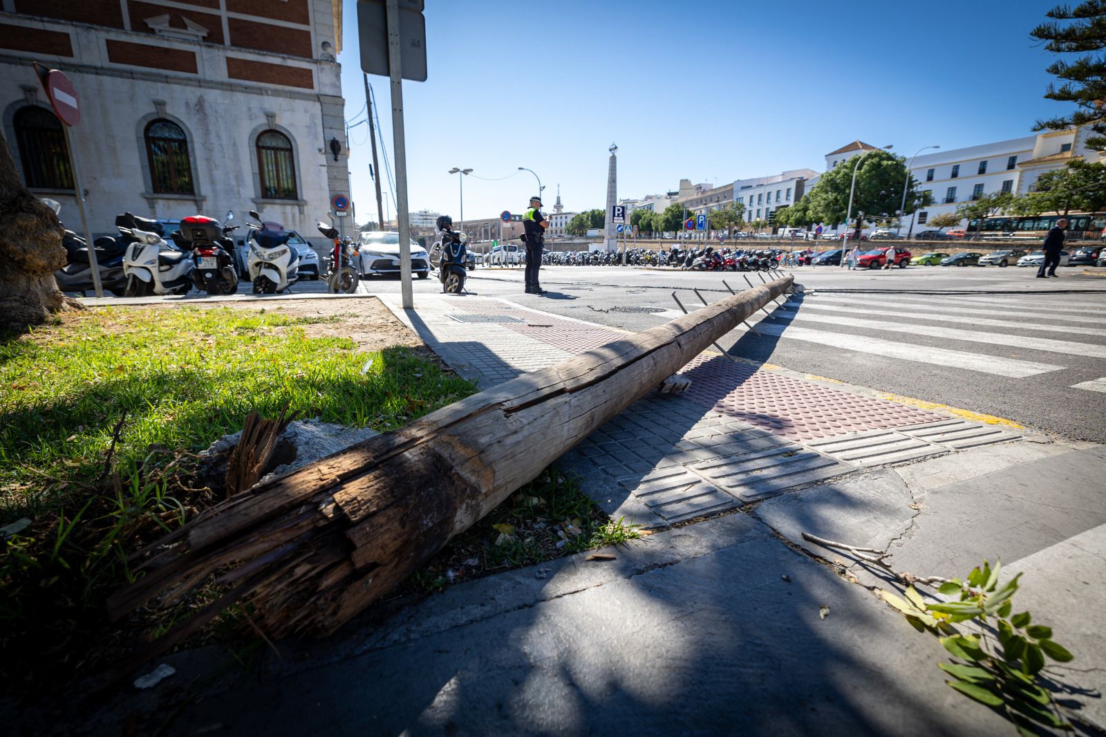 El poste eléctrico caído sobre la calzada en la Plaza de Sevilla.