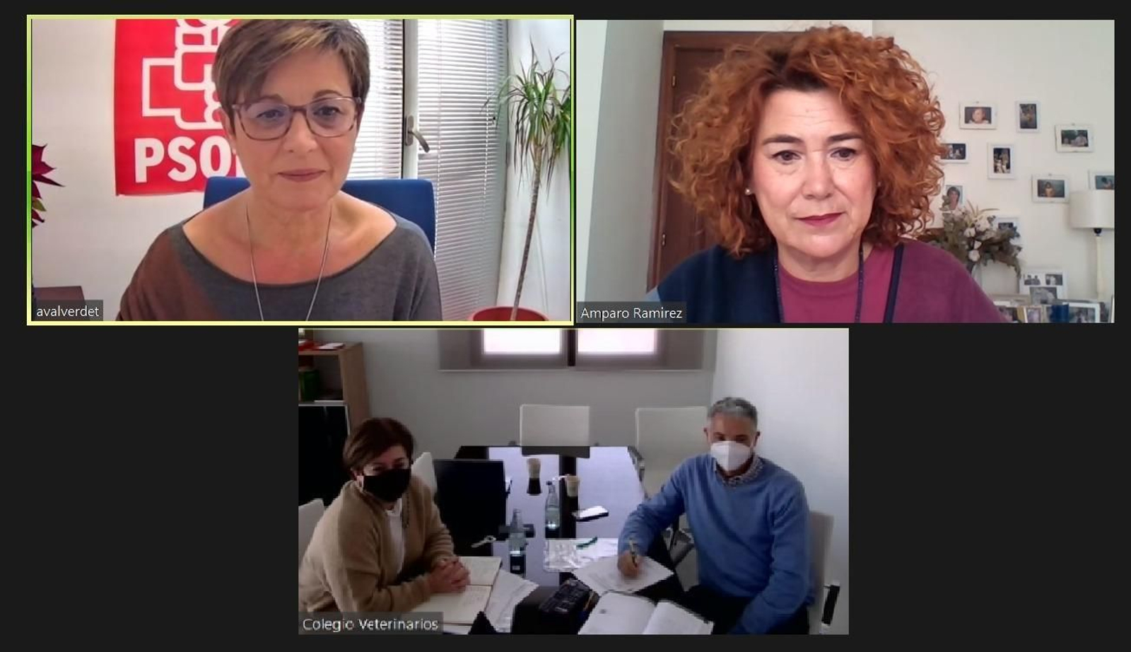 PSOE y Veterinarios, a favor de crear el Consejo Municipal de Convivencia, Defensa y Protección Animal PSOE y Veterinarios, a favor de crear el Consejo Municipal de Convivencia, Defensa y Protección Animal