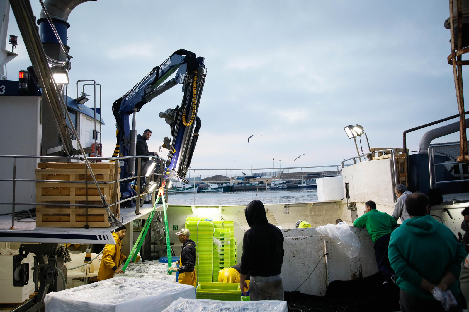 Te contamos en imágenes como ha sido la descarga de las traiñas en la lonja de Almería