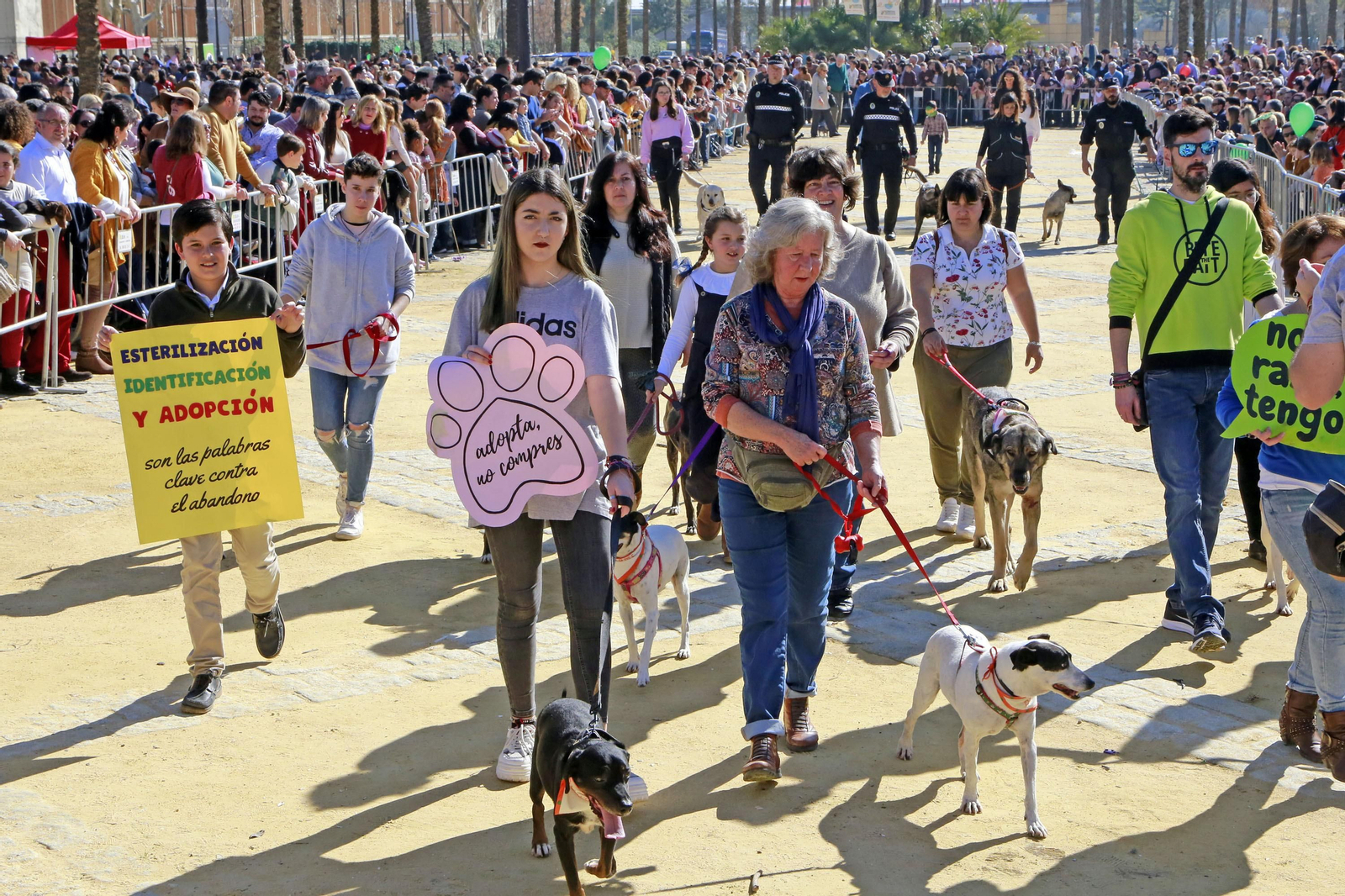 Imágenes de San Antón 2020 en Jerez